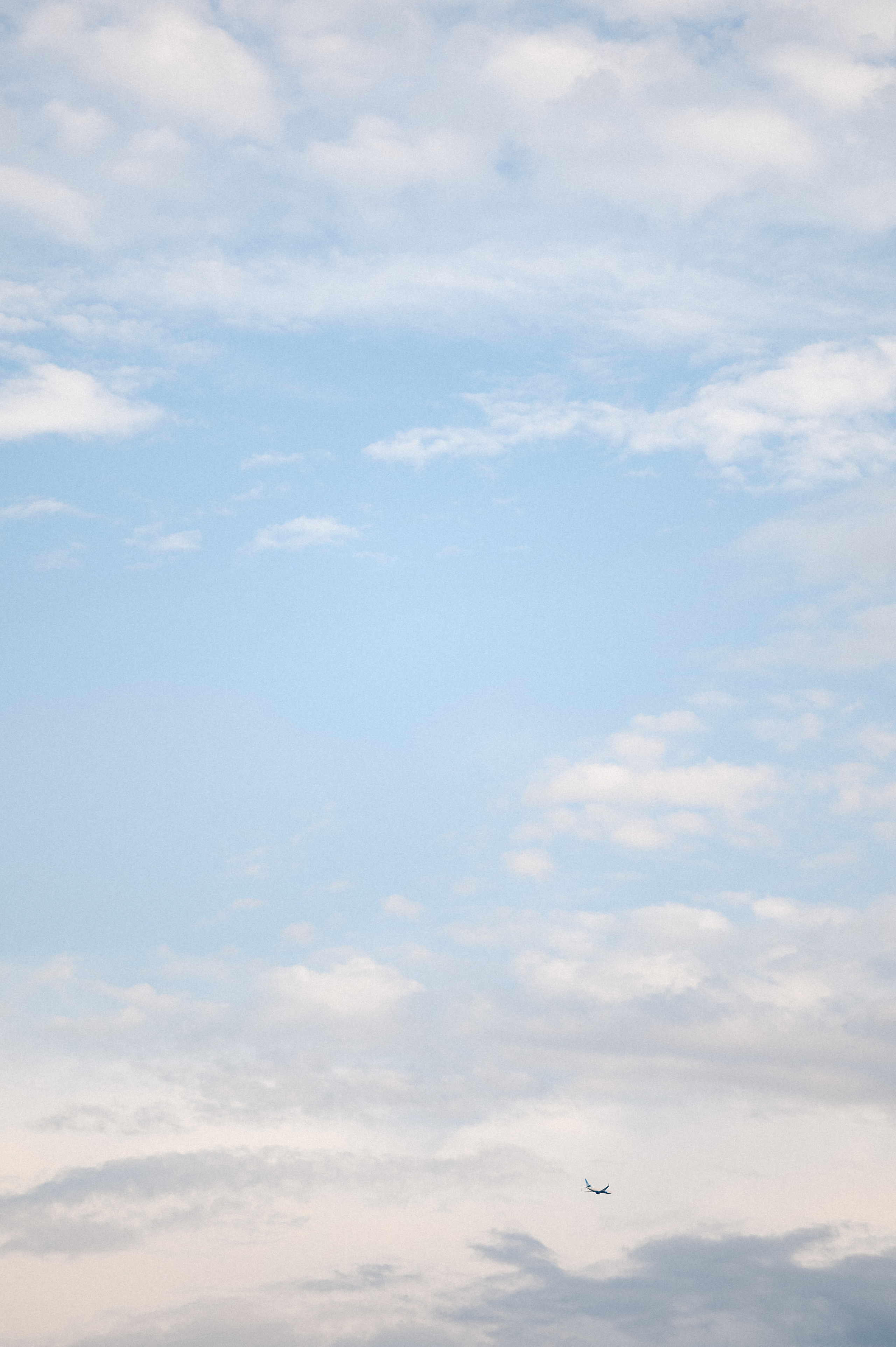 KIBUS. Свадебный и семейный фотограф Никита Корохов