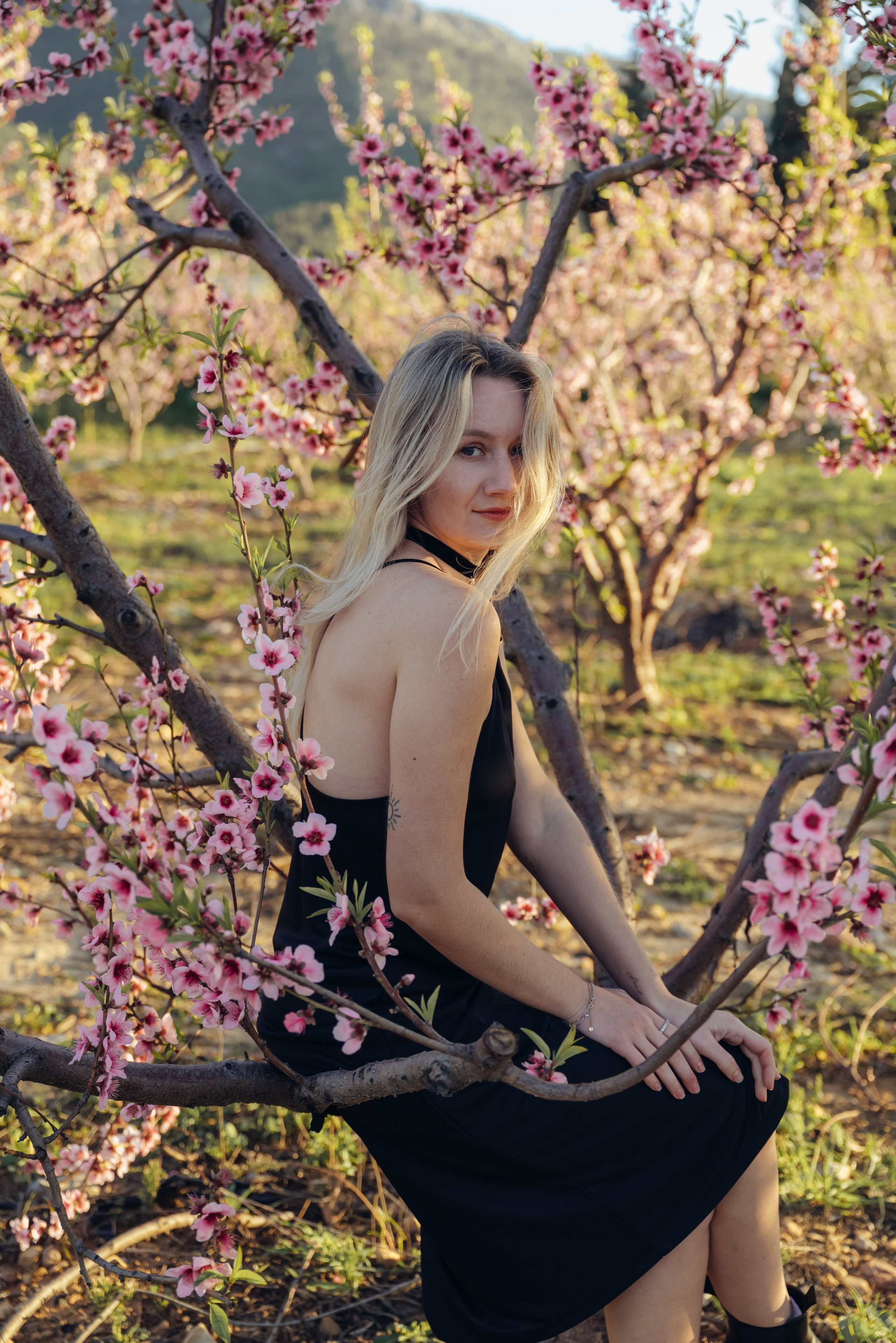 Цветущий миндаль. Анна Лобанова | фотограф