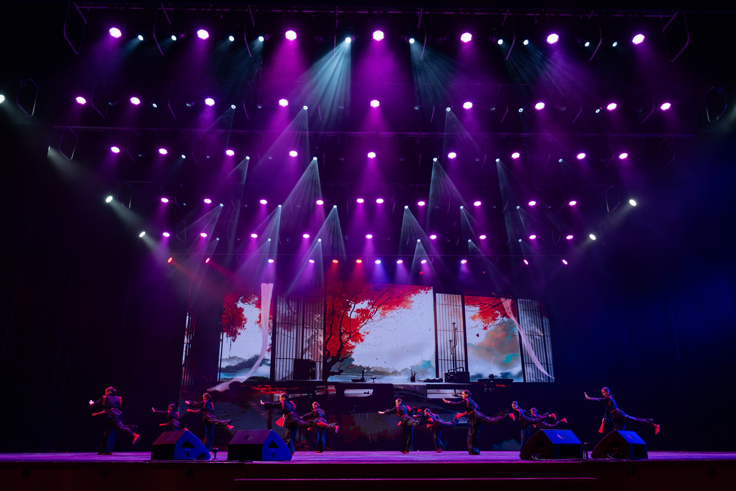 18 мая, г. Москва, Кремль, Концерт. Золотое яблочко