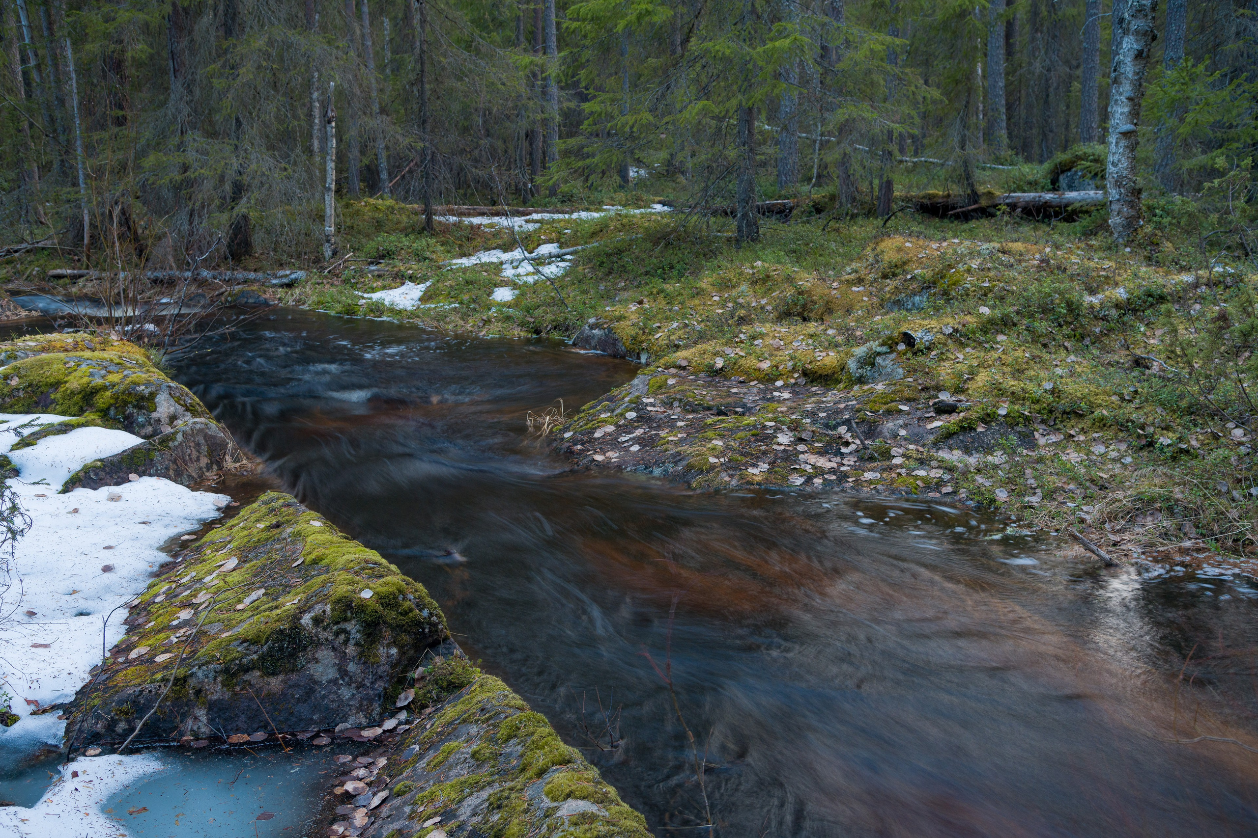 Весна. Северные Ночи