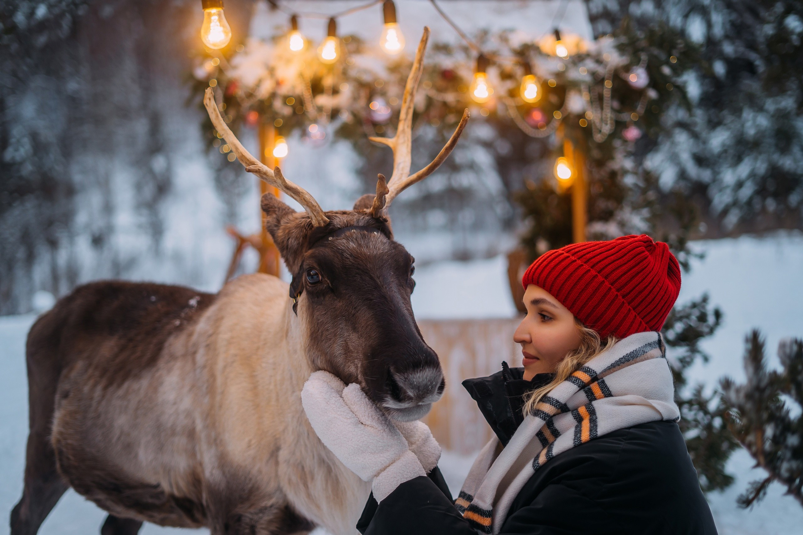 Фотопроекты. Фотографы Харины Иван и Светлана Красноярск