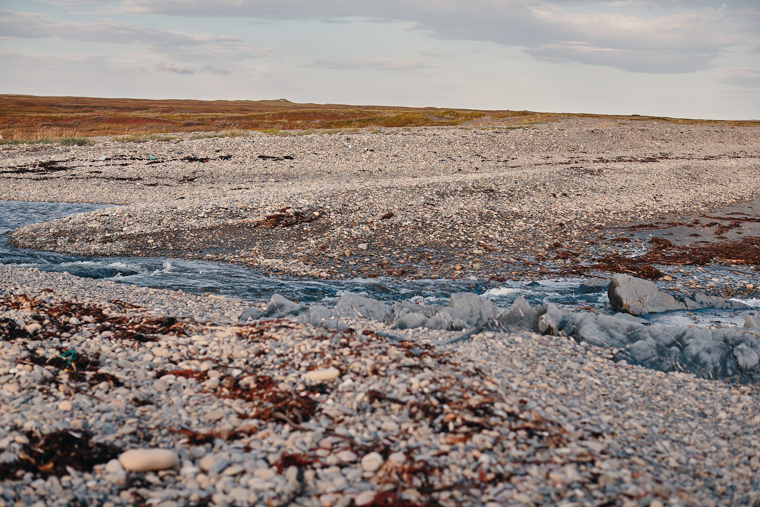 Рыбачий 2023. Место силы. Фотограф Валерий Сабрам