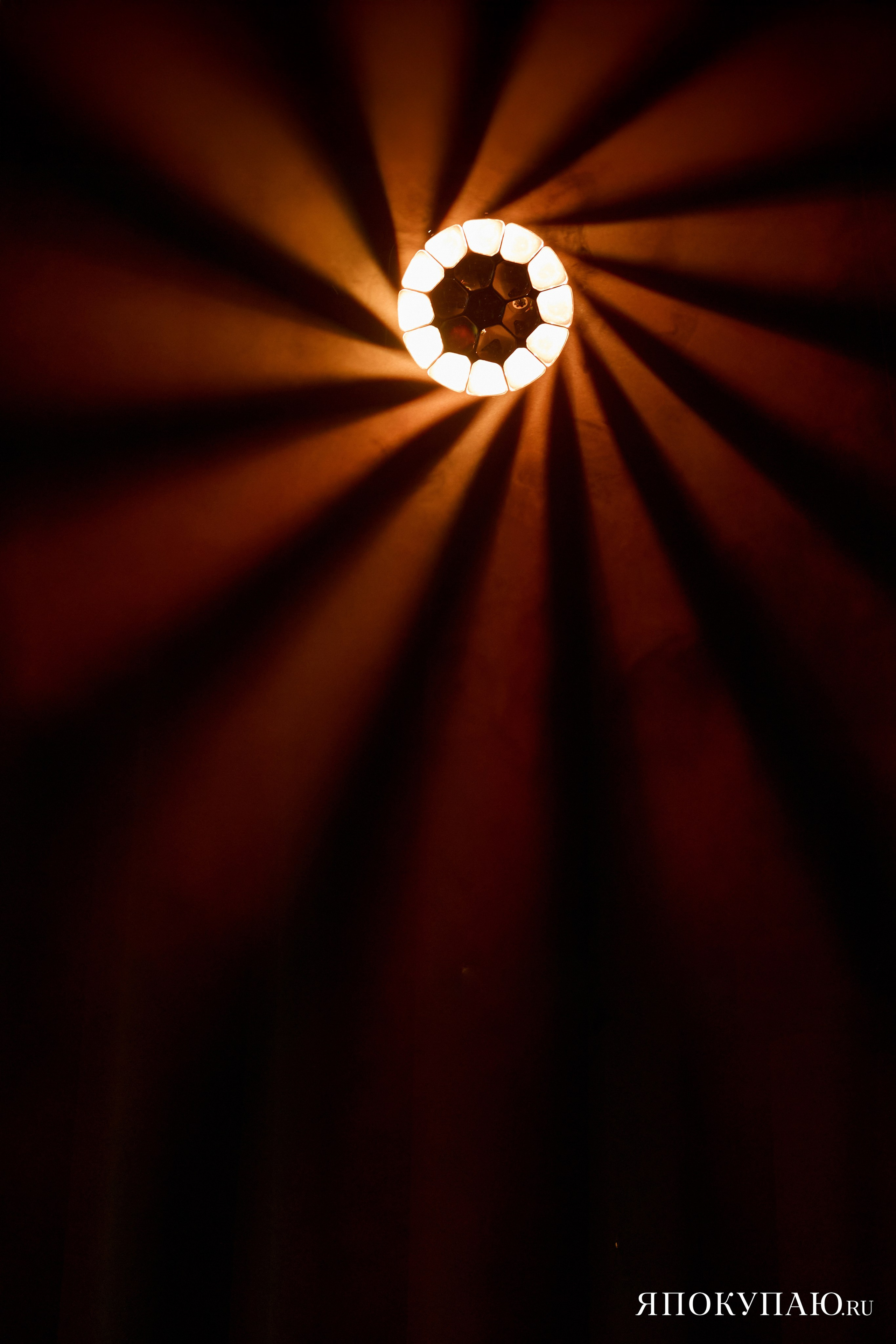 Я ПОКУПАЮ. Фотограф Айвазова Наталья Краснодар