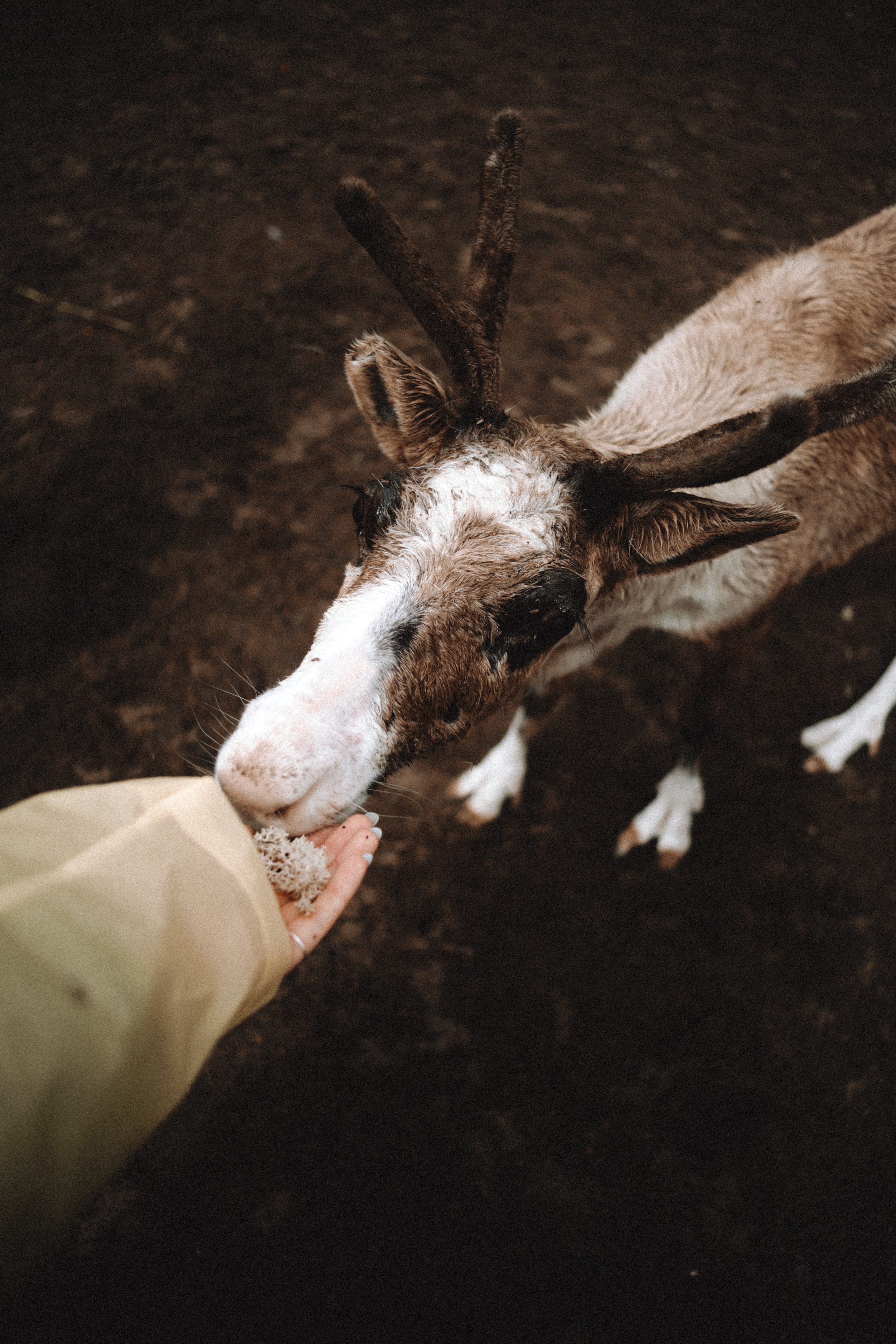 Териберка, Мурманск. Фотосъёмка для компании по организации туров в коллаборации с Яндекс 360