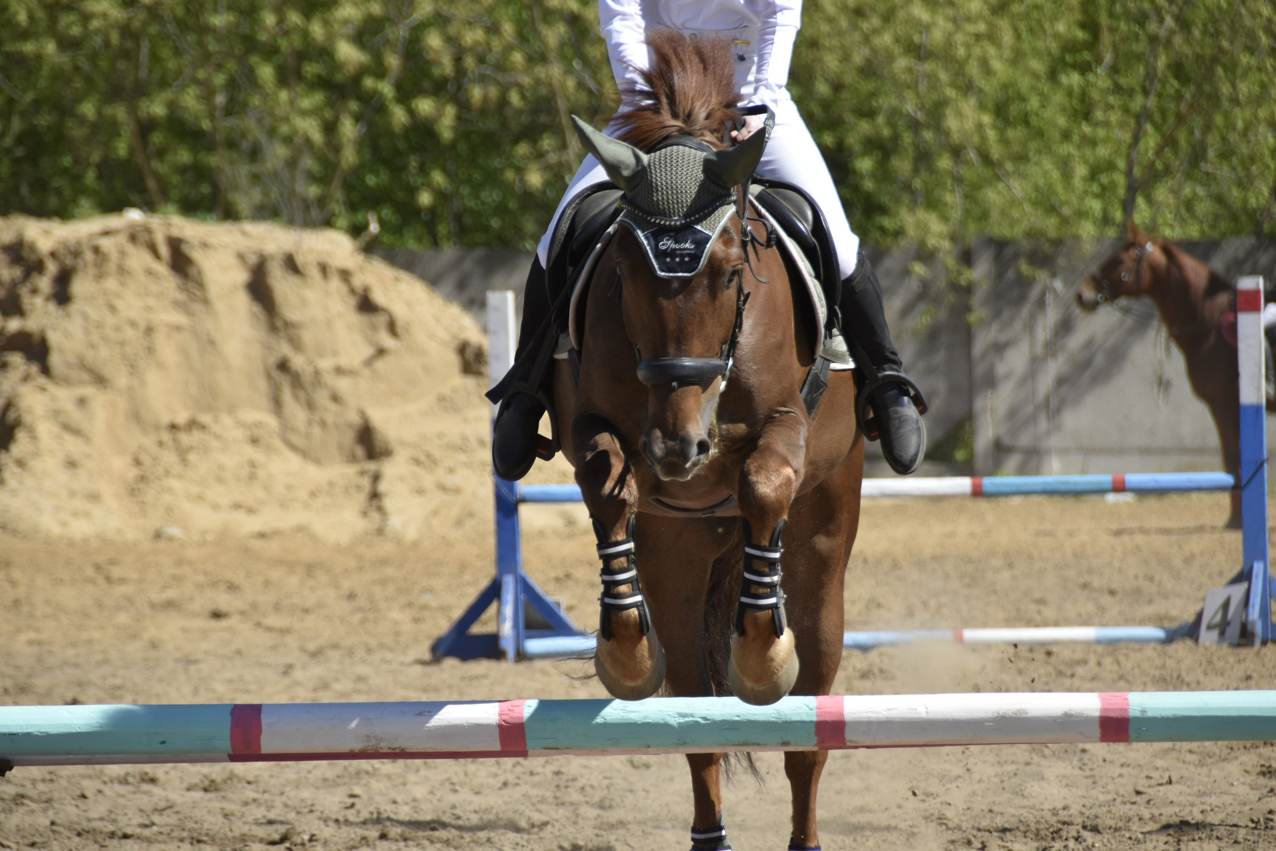 Соревнования по конкуру. КСК «Галактика». Конный фотограф Москва