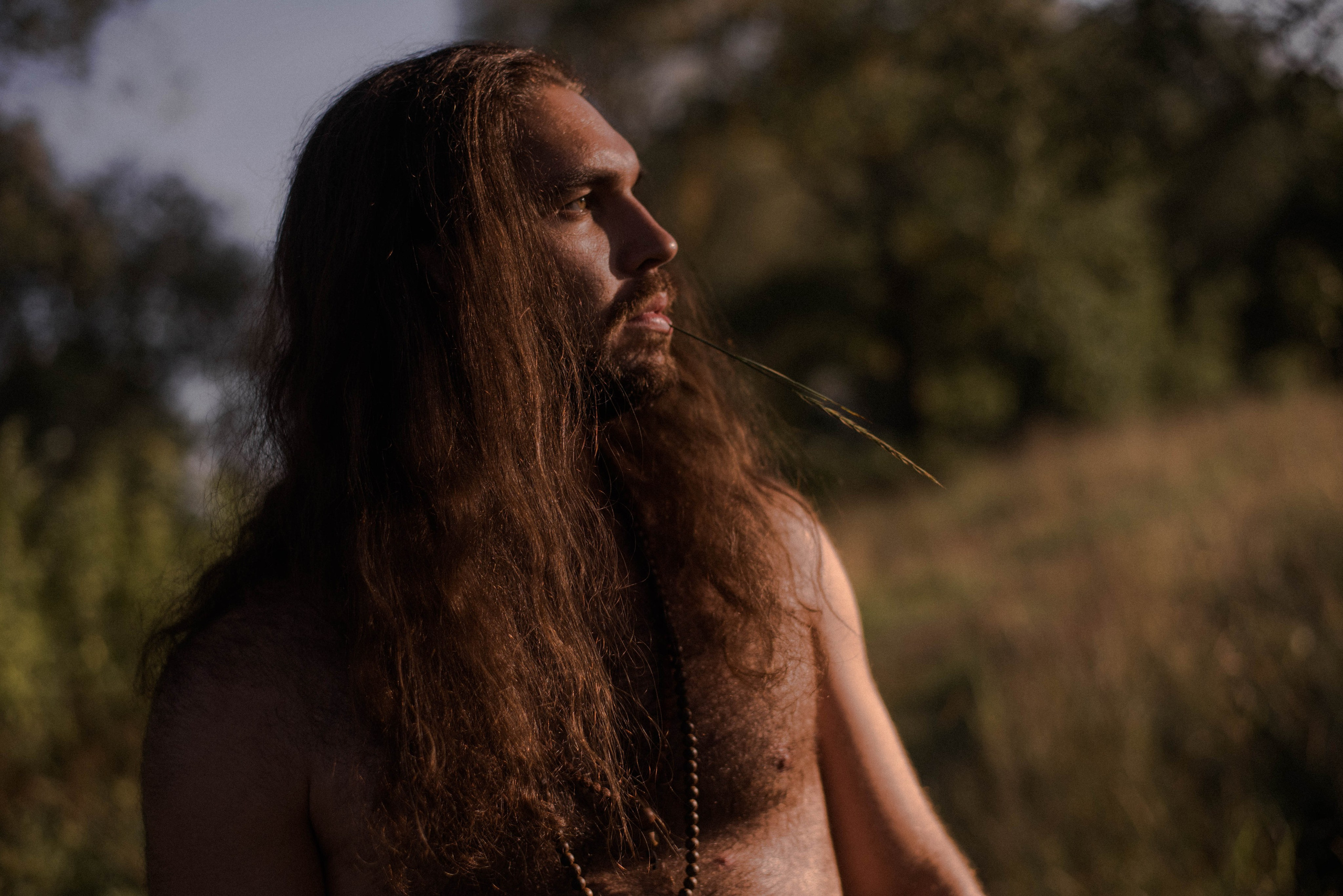 Мужское начало. Olgamashh