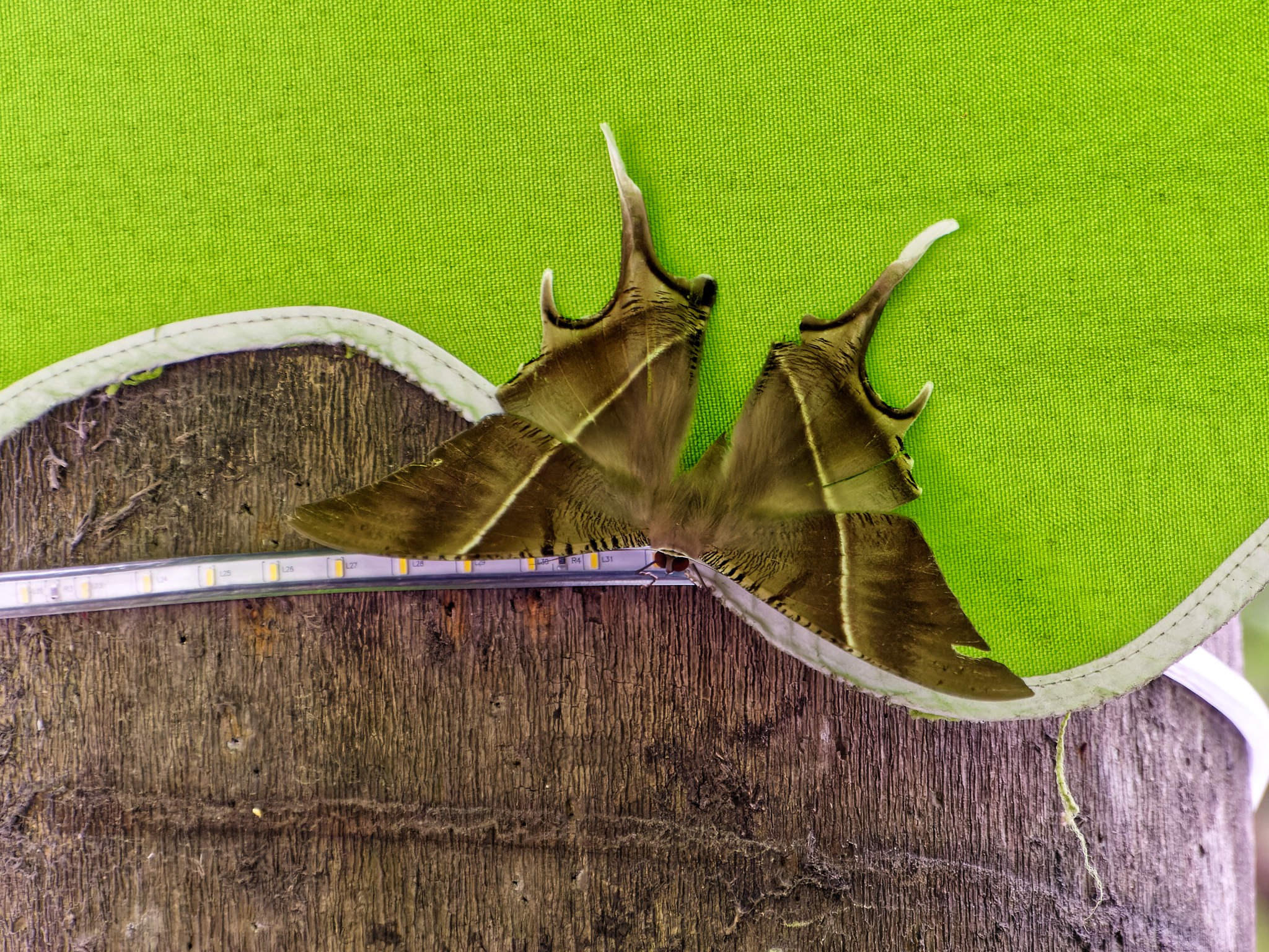 Нячанг 2023. Избранные фотографии