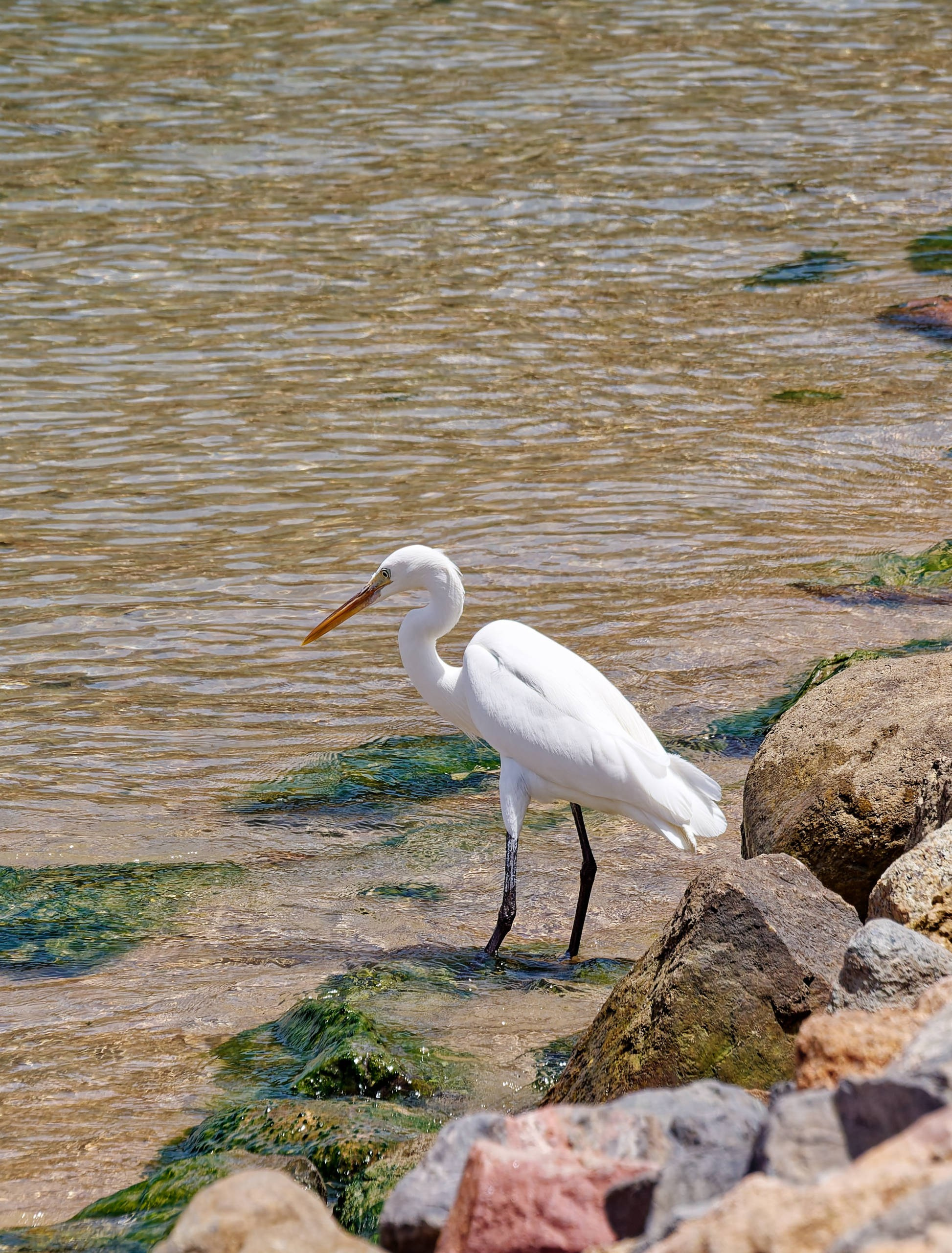 Шарм-эль-Шейх 2022 (2). Избранные фотографии