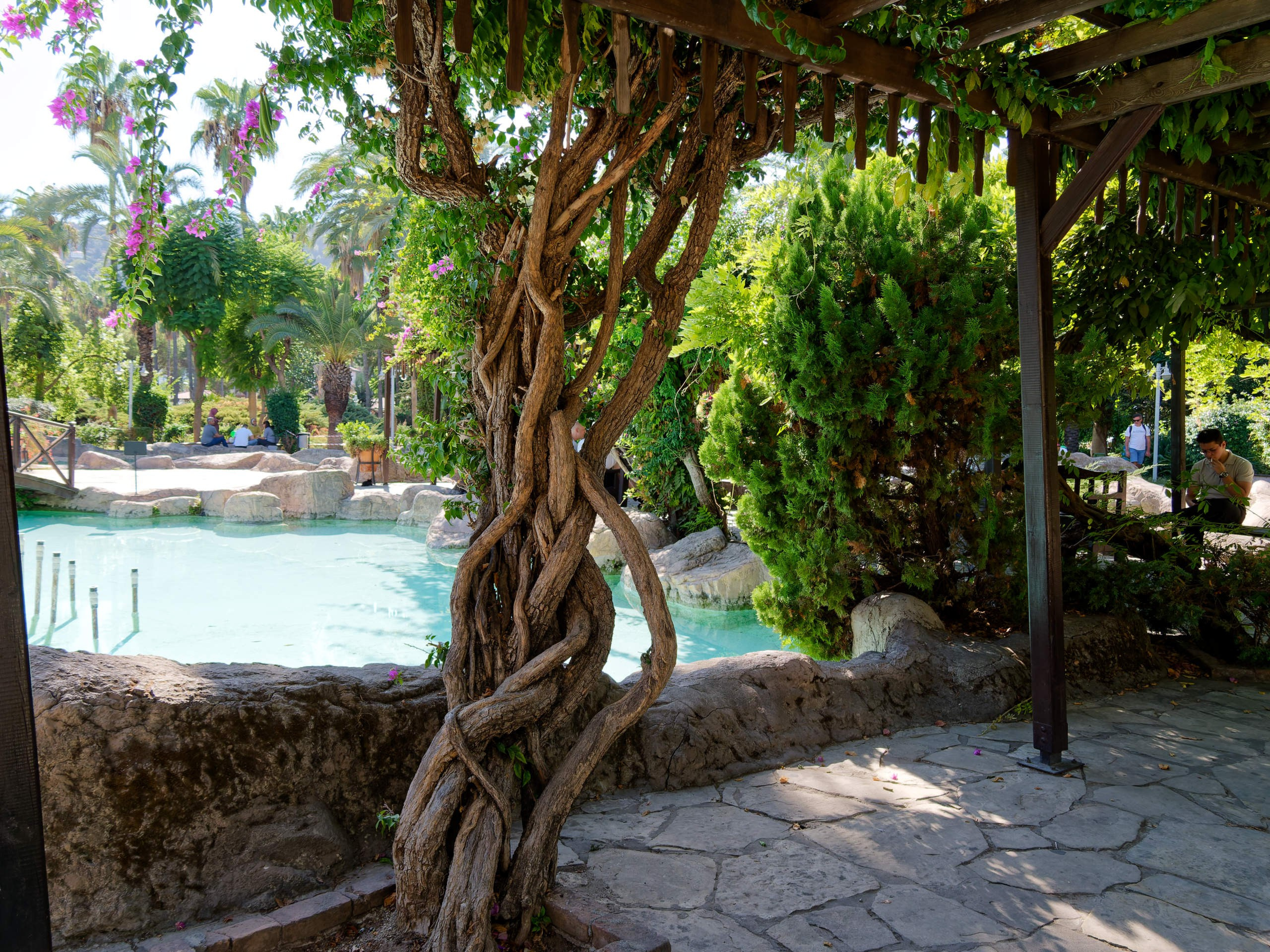 Алания 2025, город, стрит-фото. Избранные фотографии