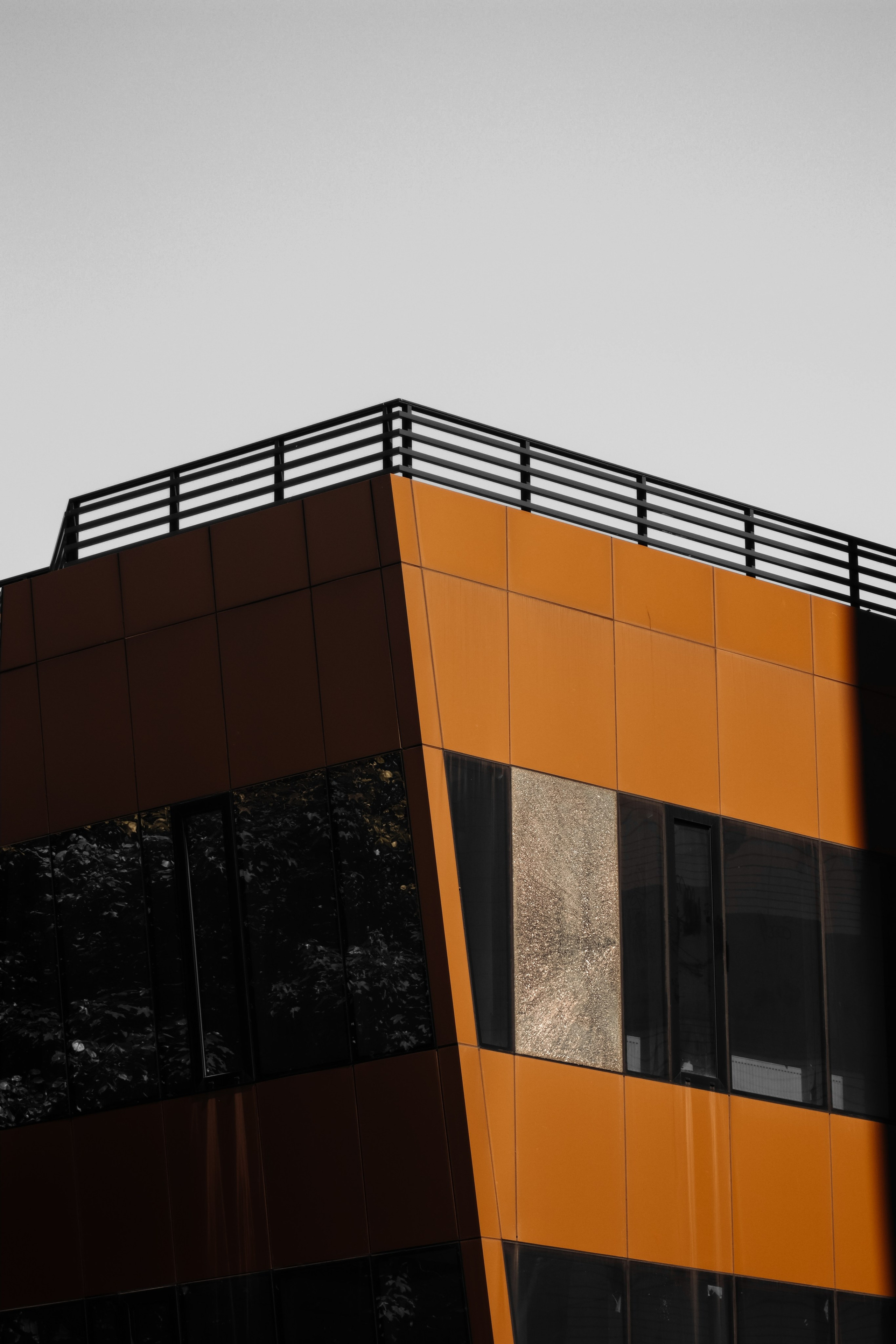 О Д И Н — Ц В Е Т. — Digital Noise —