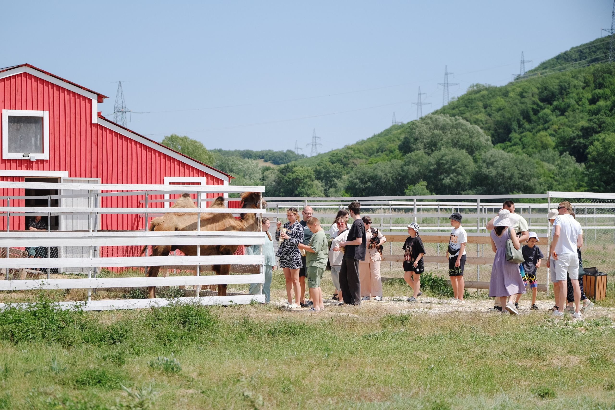 Репортаж на ферме. Профессиональная фотосъемка в Крыму. Натуральные эмоции и живые кадры. Забронируйте дату прямо сейчас!