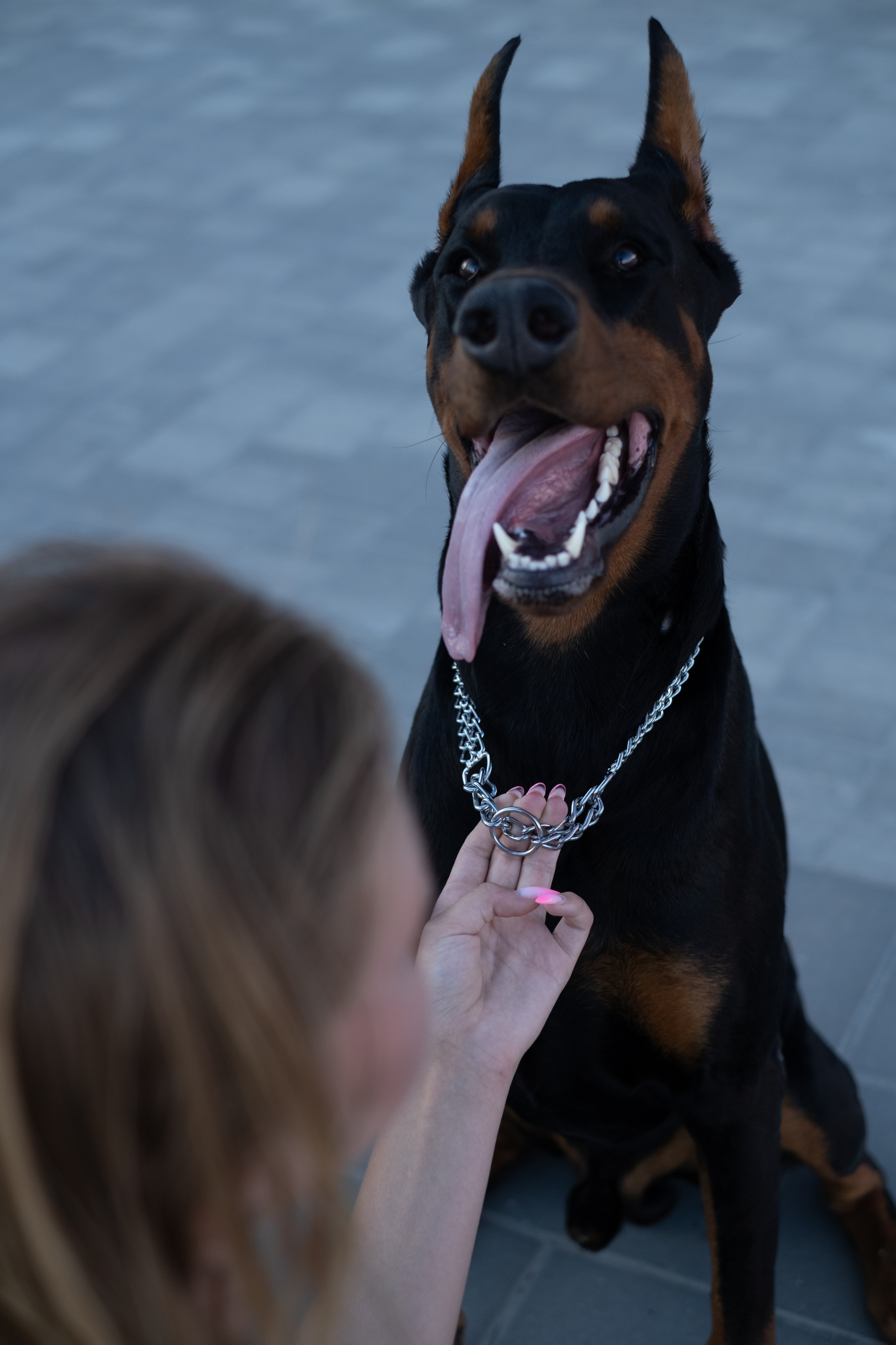 Фотосессия с Доберманом. Профессиональная фотосъемка в Крыму. Натуральные эмоции и живые кадры. Забронируйте дату прямо сейчас!