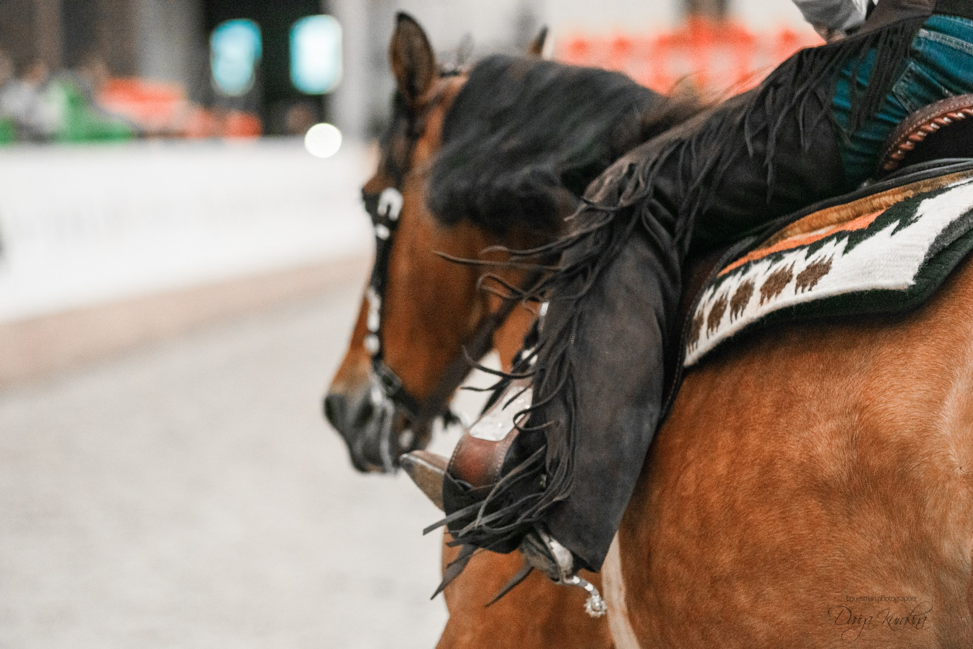 8-я международная выставка Конная Россия. Конный фотограф Куракина Дарья • Фотосессии с лошадьми