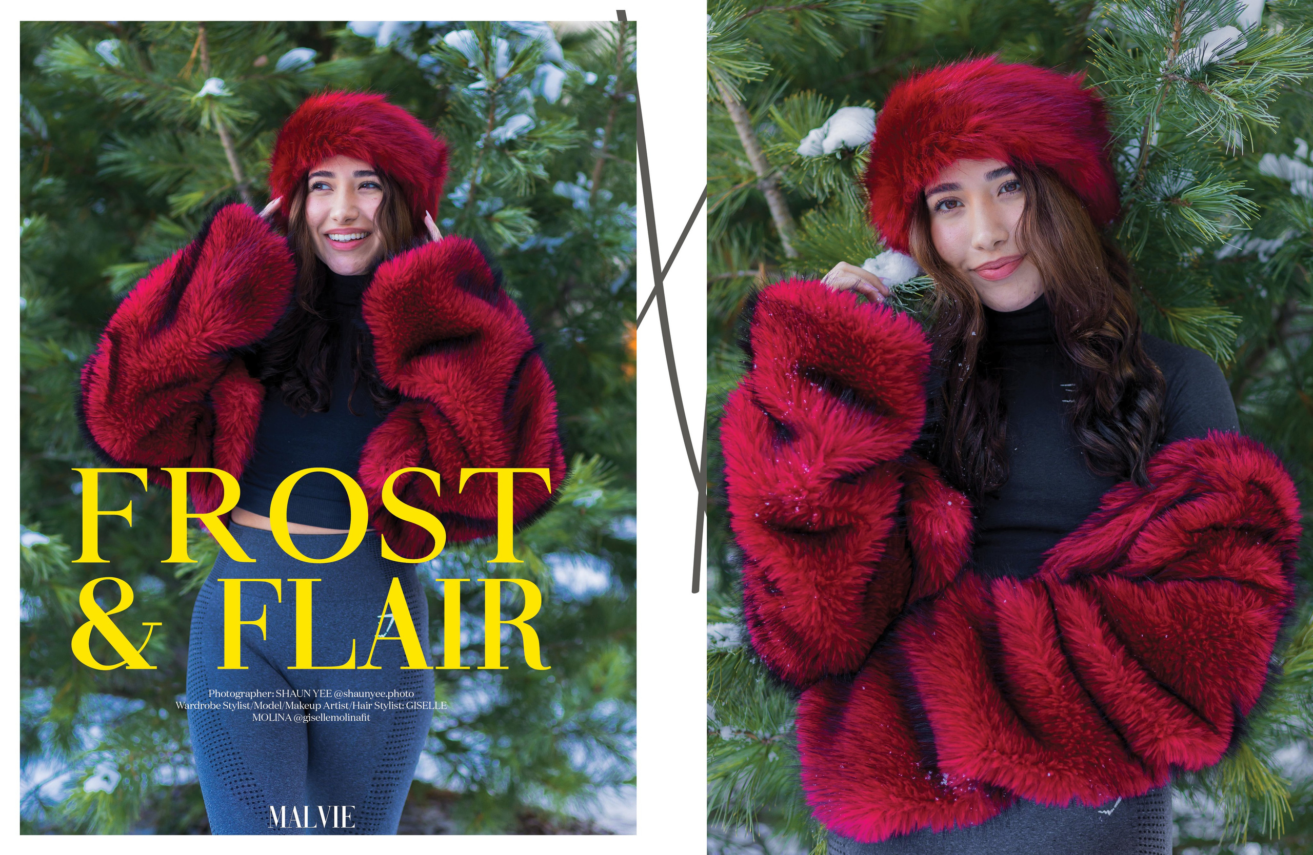 Публикация в журнале