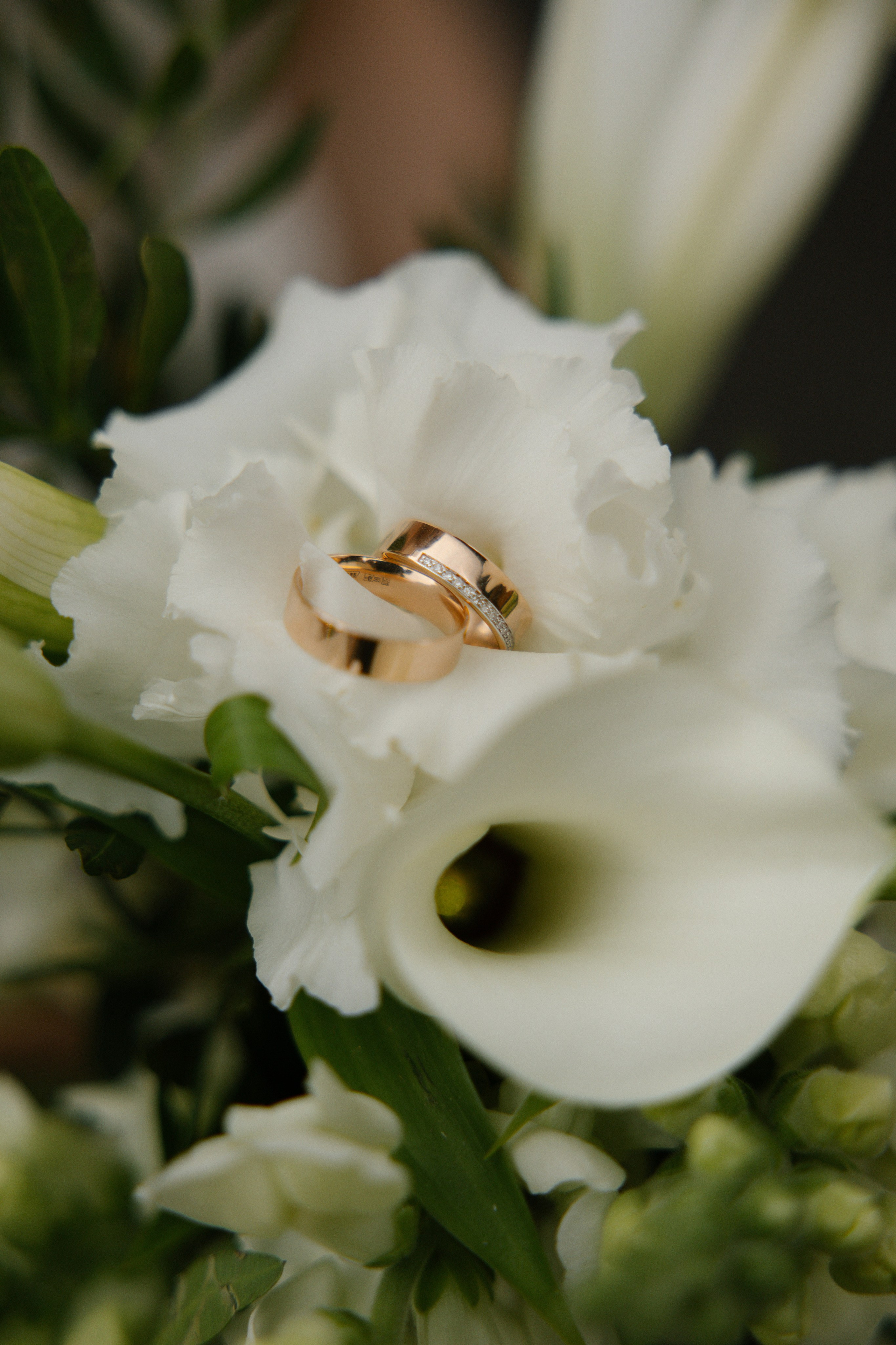 Екатерина & Игорь. Фотограф Сотникова Вероника