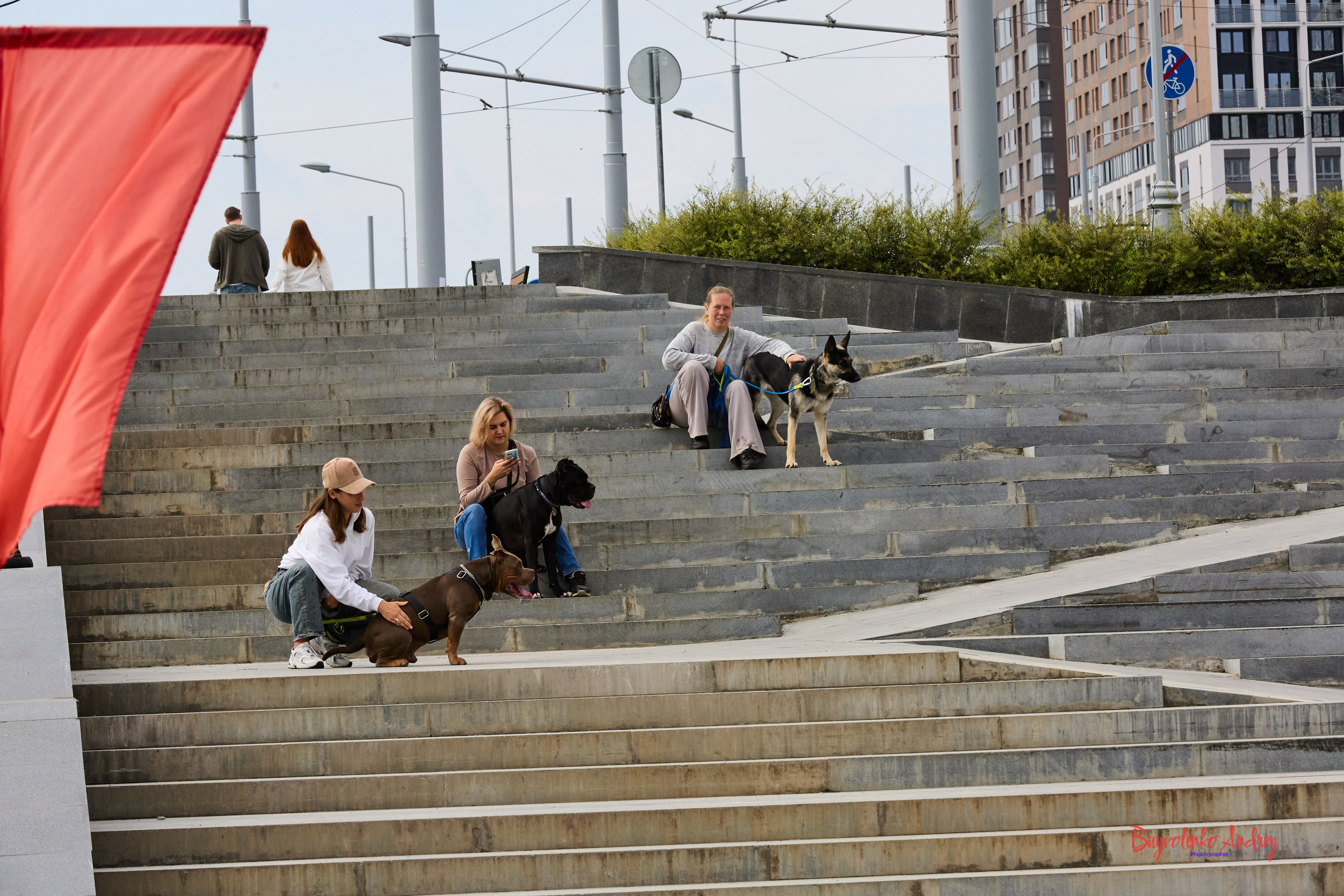 Проект фотопрогулка с хвостиком. Buyvolenko Andrey