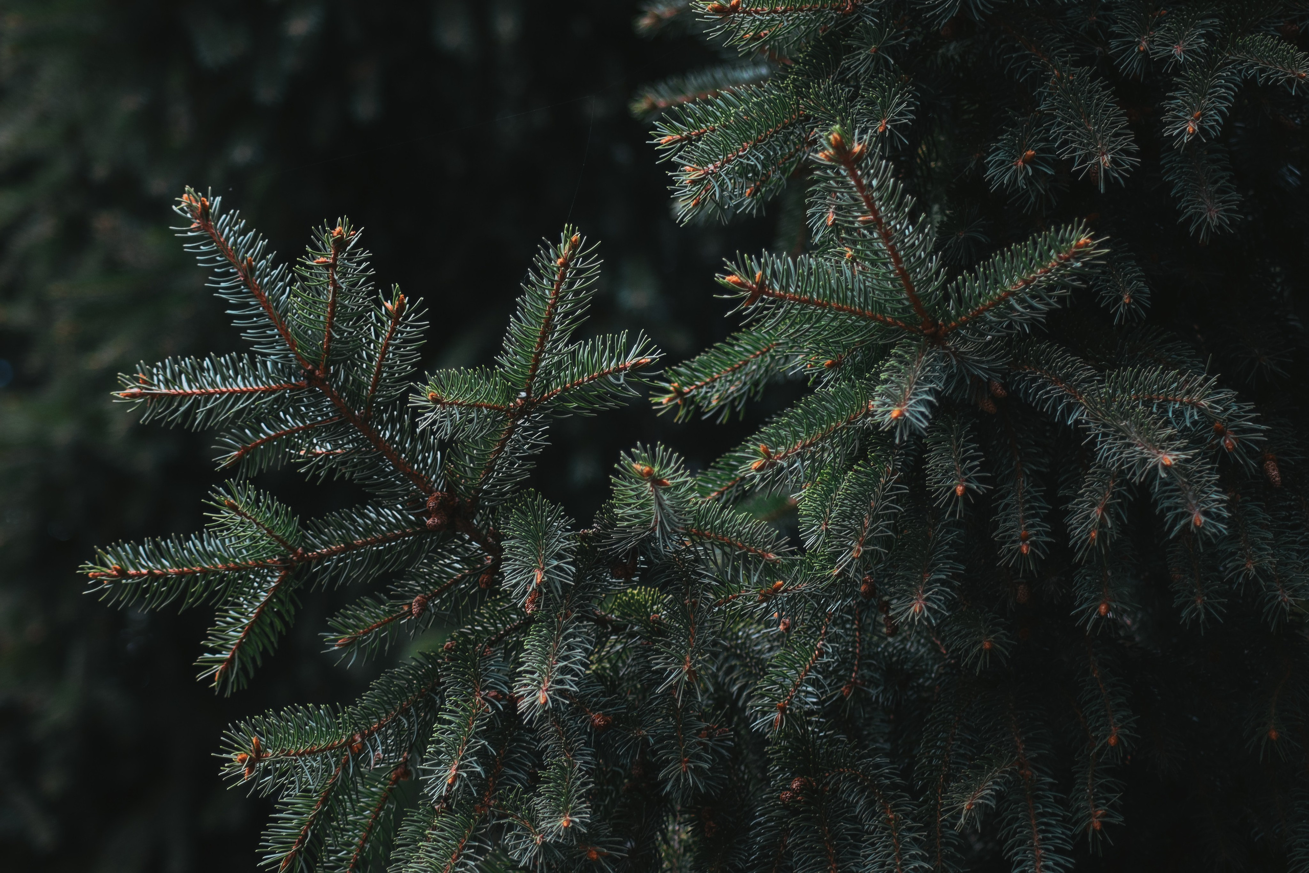 Т Е П Л Ы Й — З Е Л Е Н Ы Й. — Digital Noise —