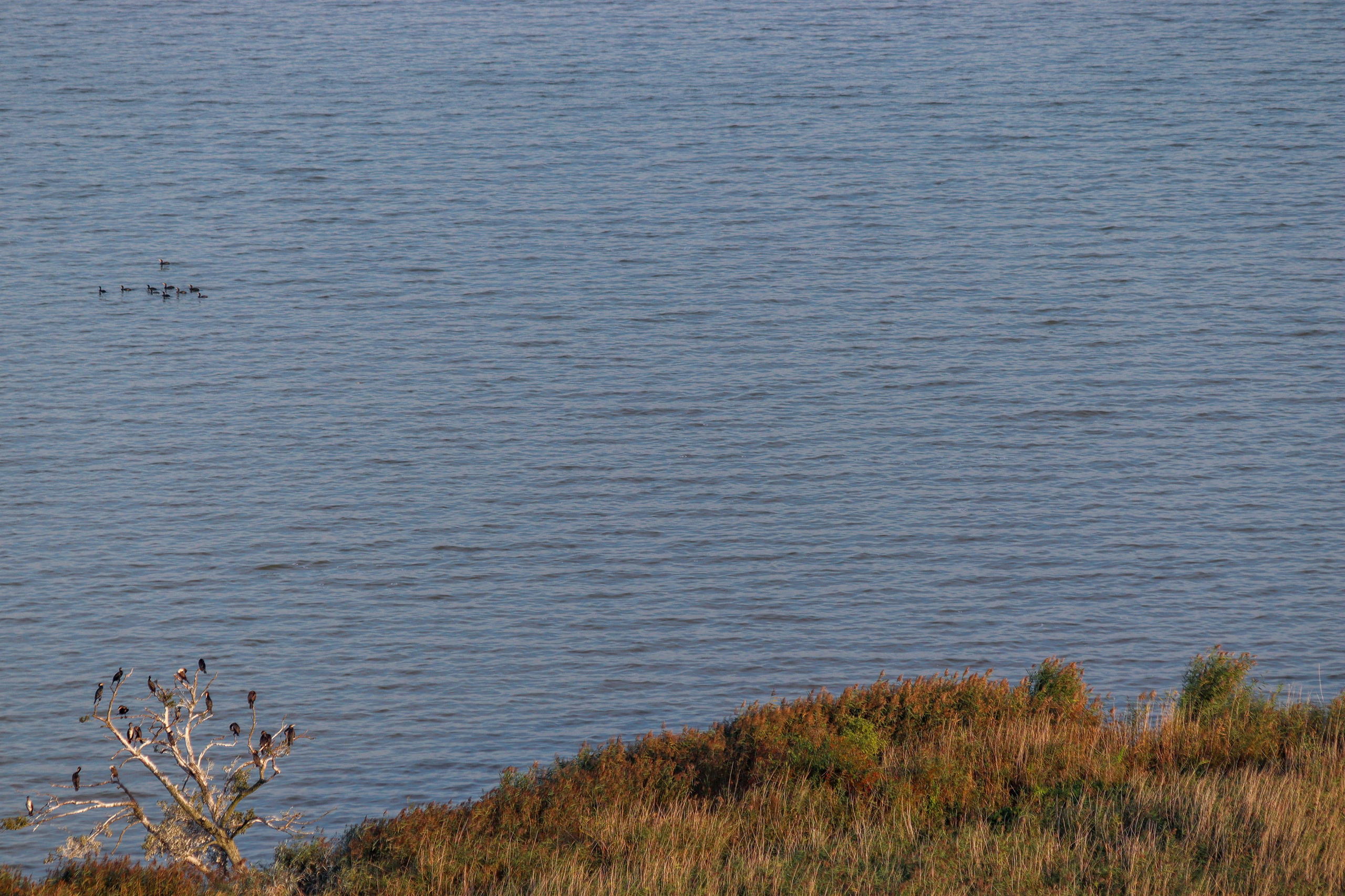 П Е Й З А Ж Н Ы Е. — Digital Noise —