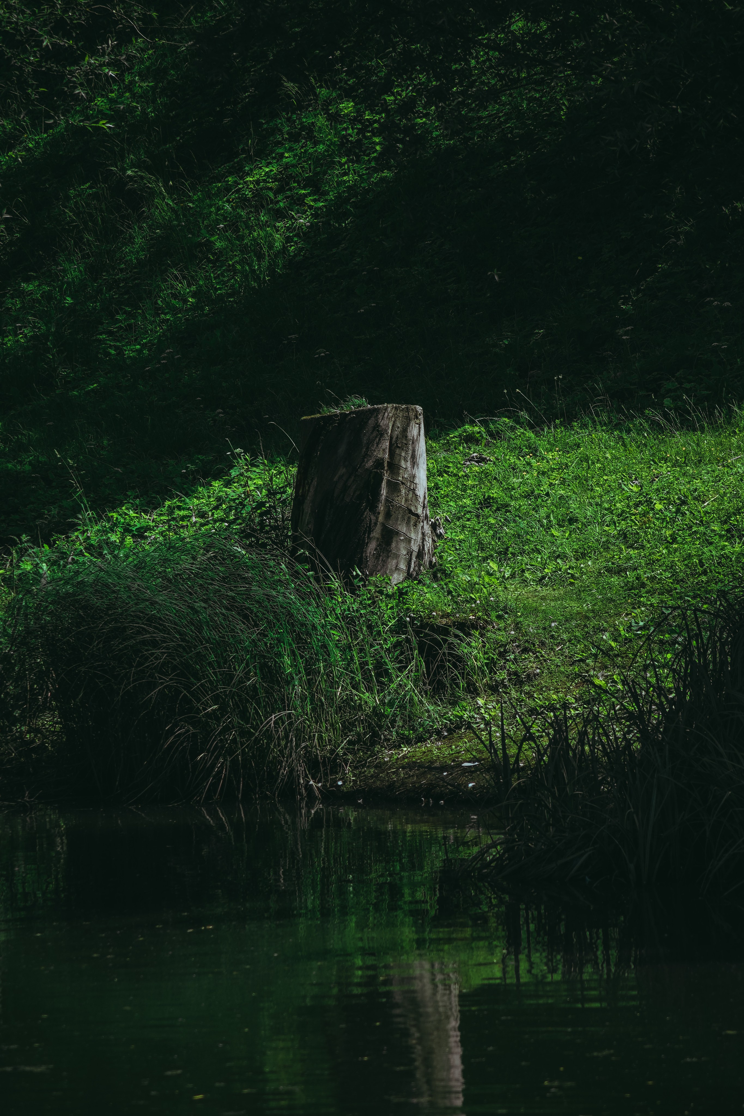 Т Е П Л Ы Й — З Е Л Е Н Ы Й. — Digital Noise —