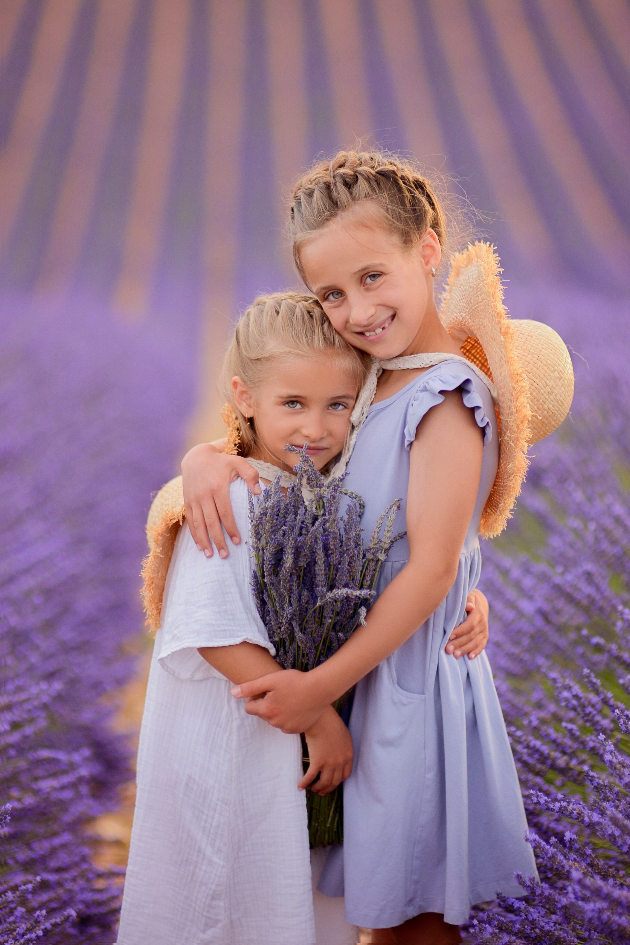 Lavender. Photographer in Provence Julia Lipiainen