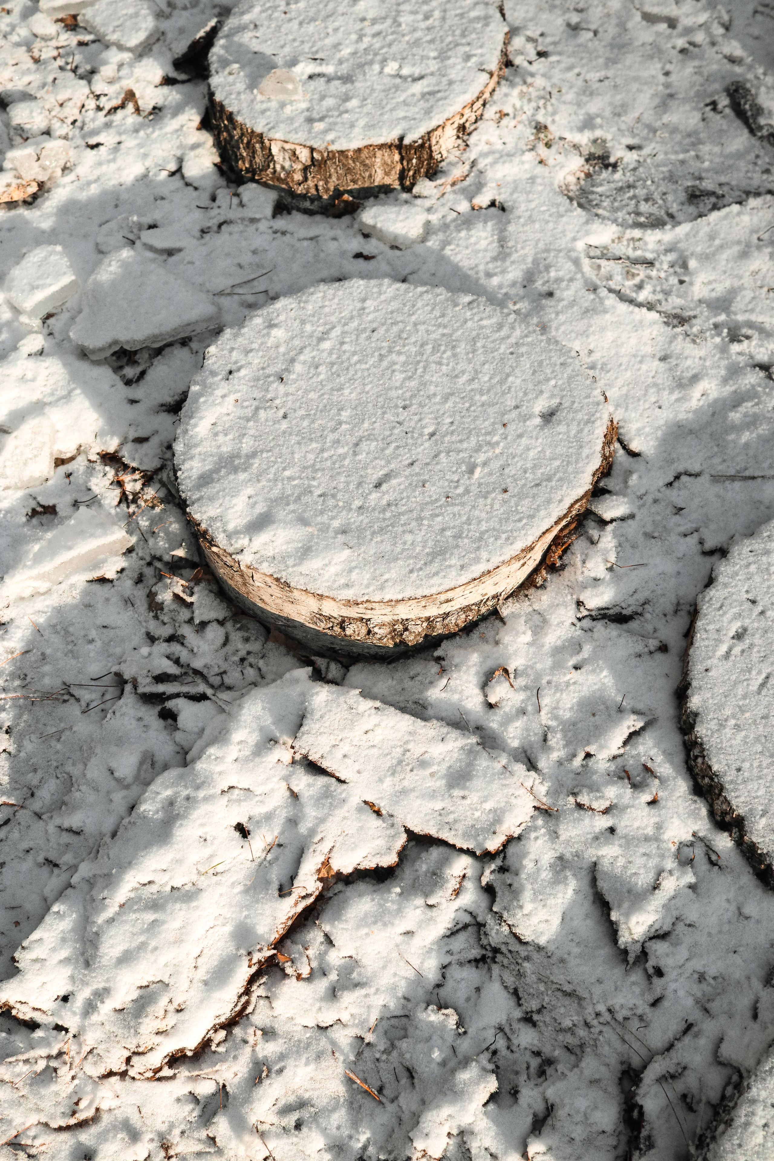 «Pinewood» банный комплекс, респ. Алтай. Контент фотограф Дмитрий Борисов