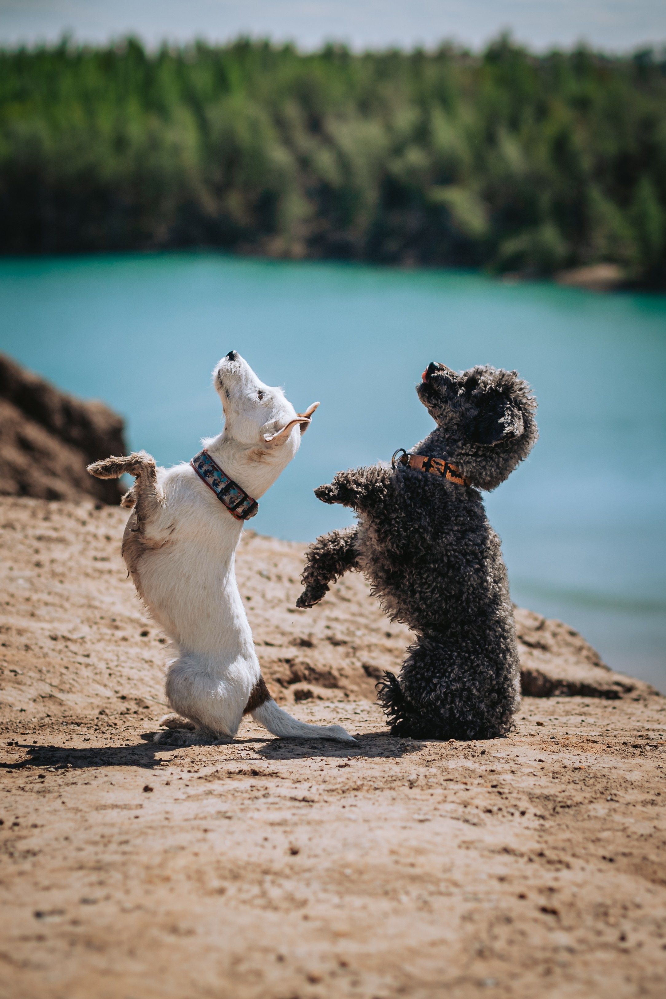 Кондуки. Фотограф-анималист Татьяна Степанова