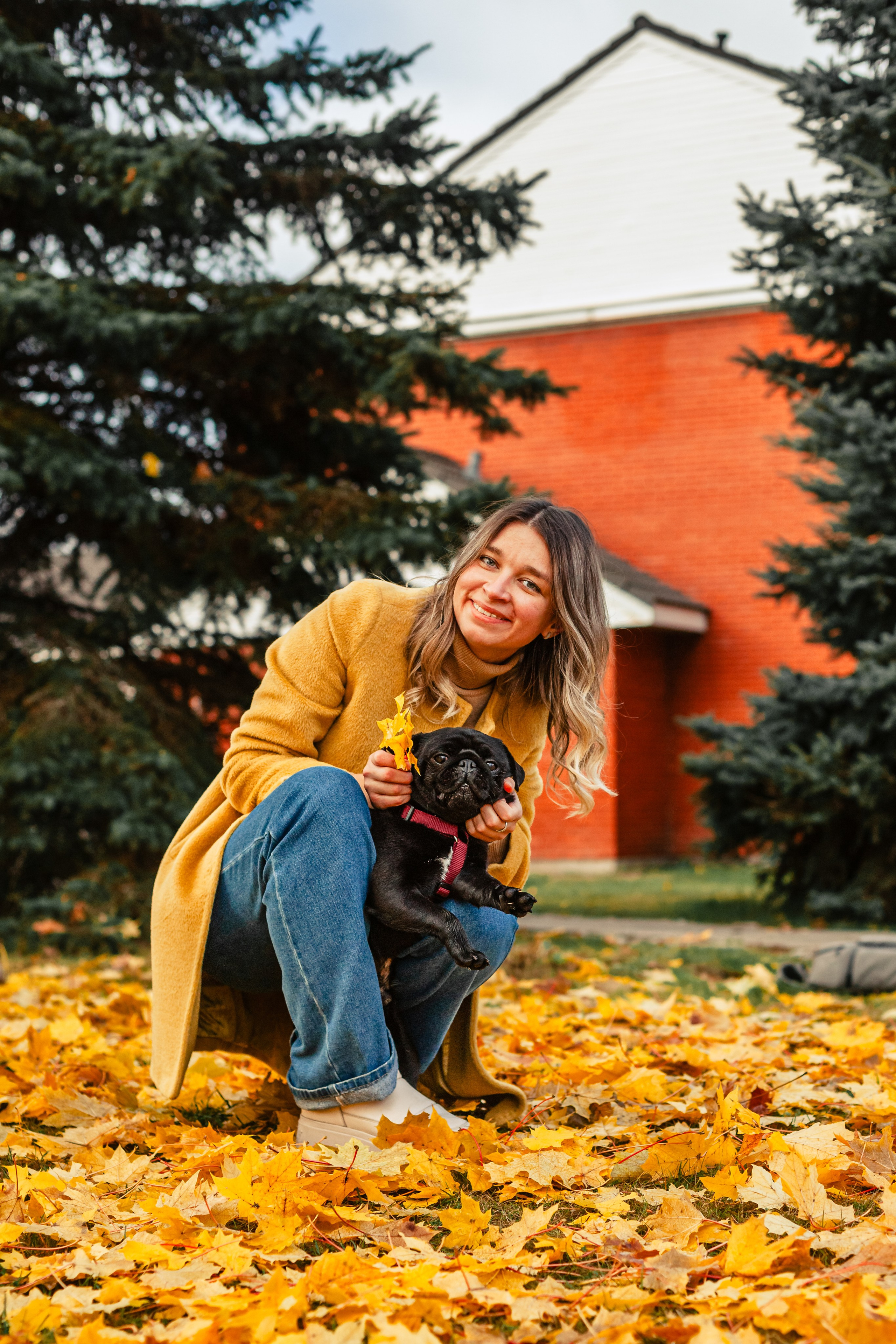 Оля, Харви, Луис. Фотограф-анималист Татьяна Степанова