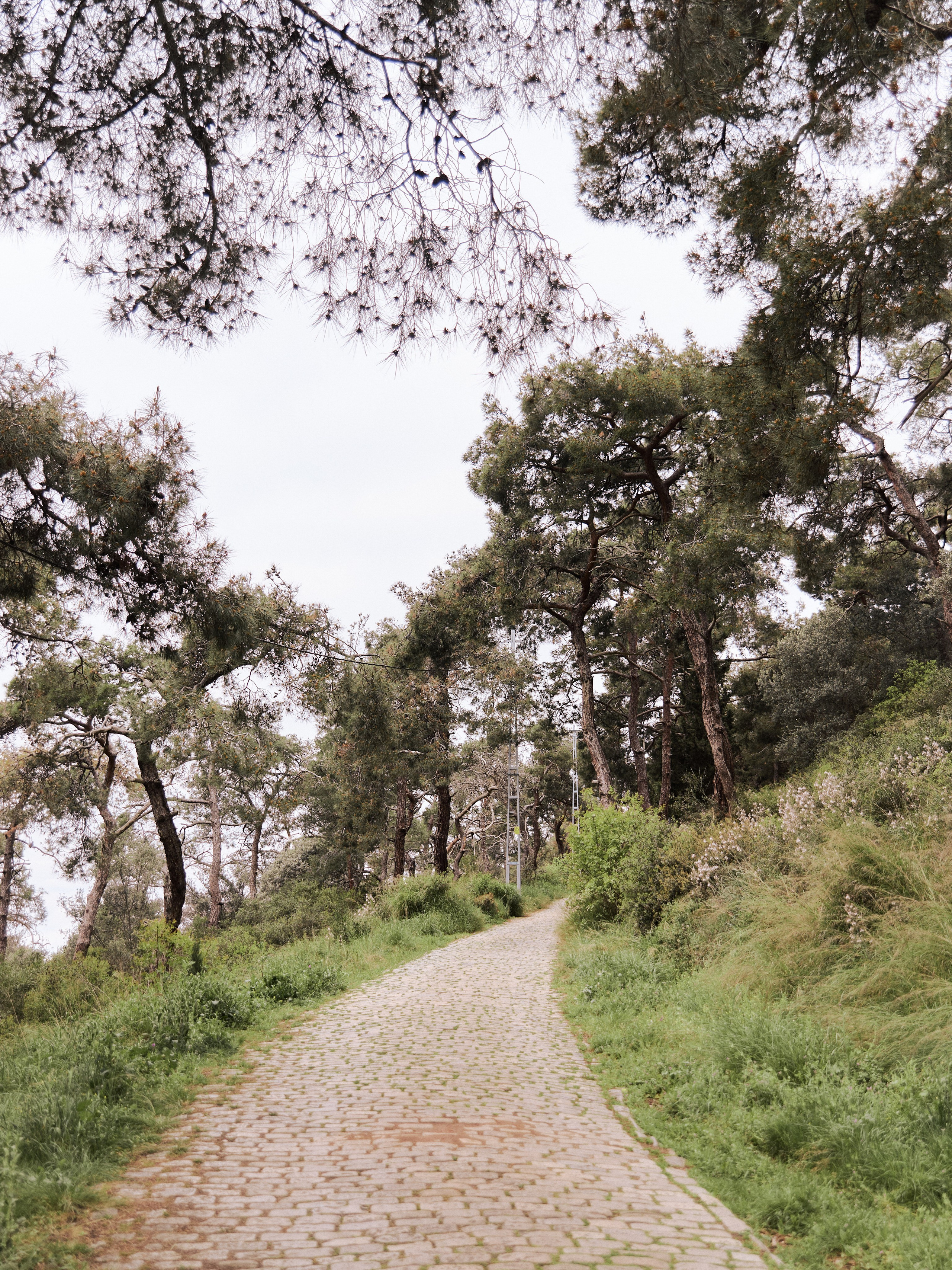 Диптих. Jorgis — фотограф в Хургаде / обучение фотографии