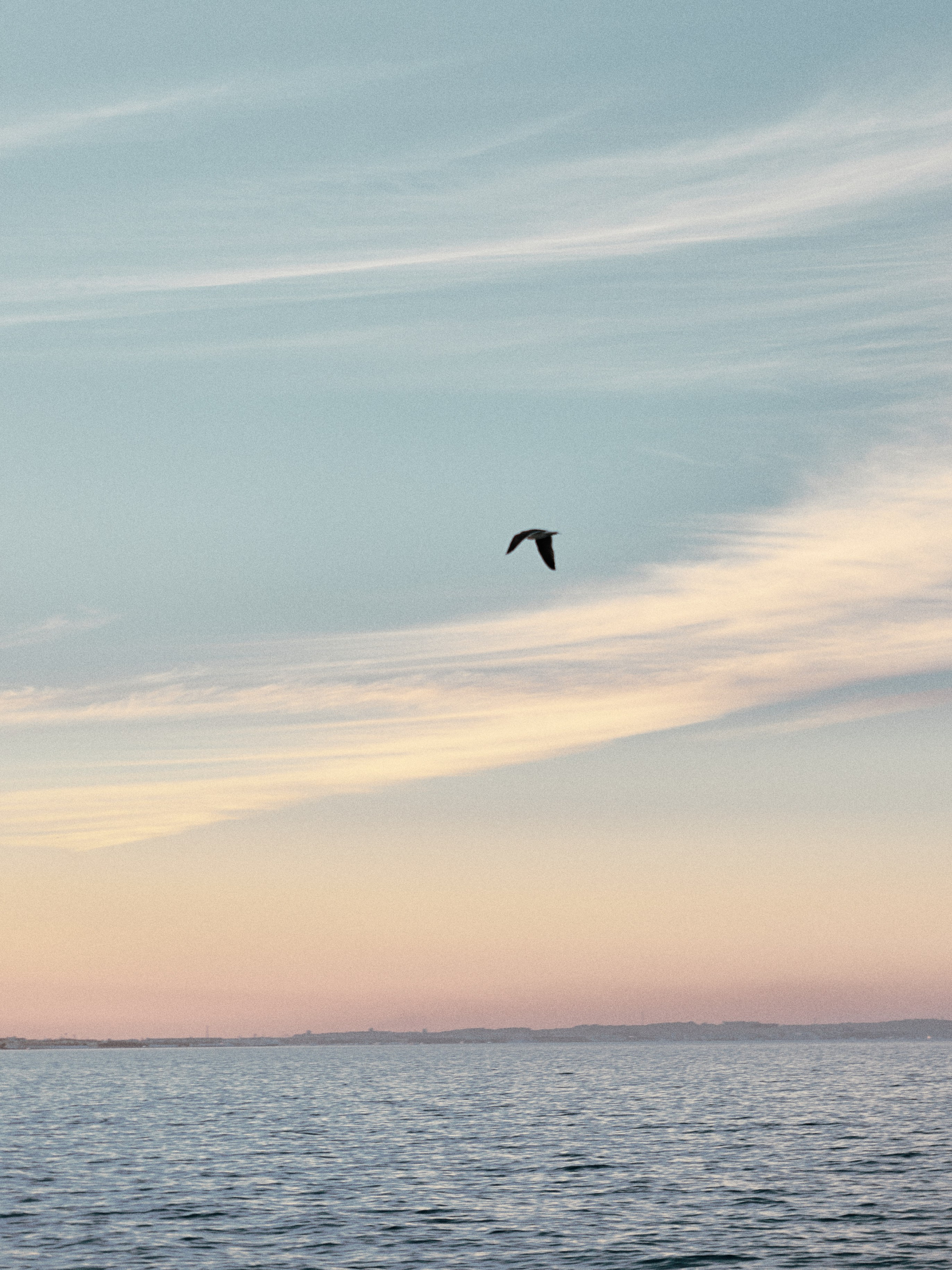 Природа. Jorgis Talè — photographer, kind person, teacher of arts and other mag