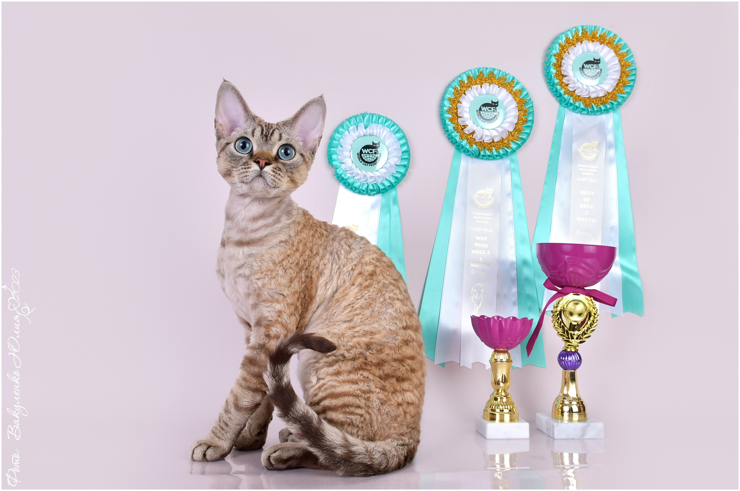 Взрослые. Фотограф анималист | семейный Юлия Вакуленко, г. Краснодар