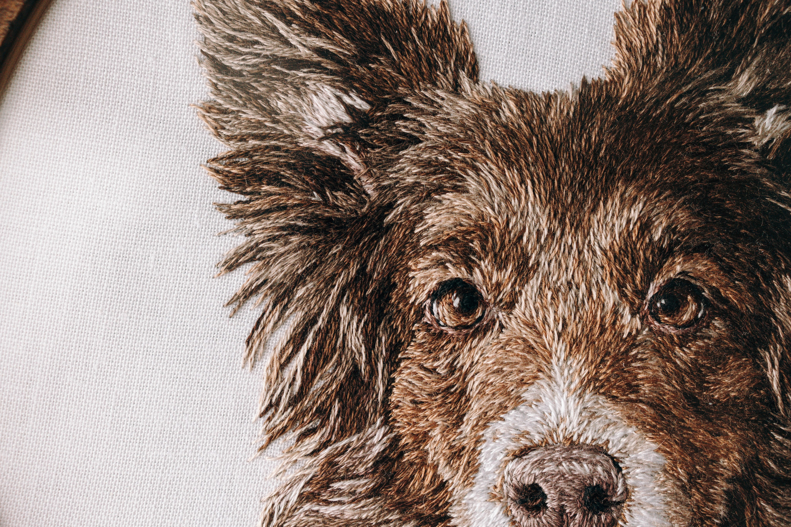 Портфолио. Портретная вышивка питомцев