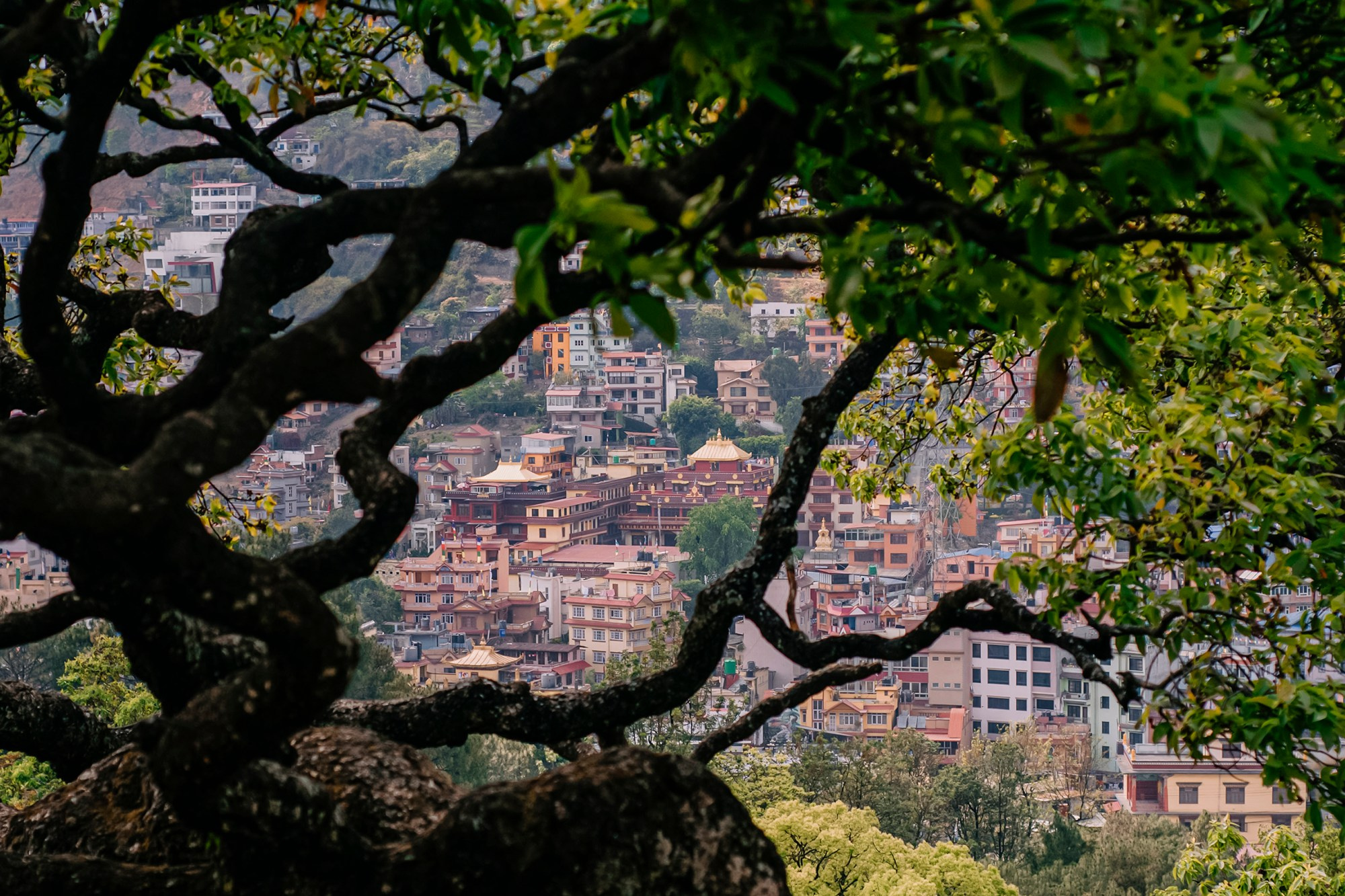 Kathmandu street. Iraogo
