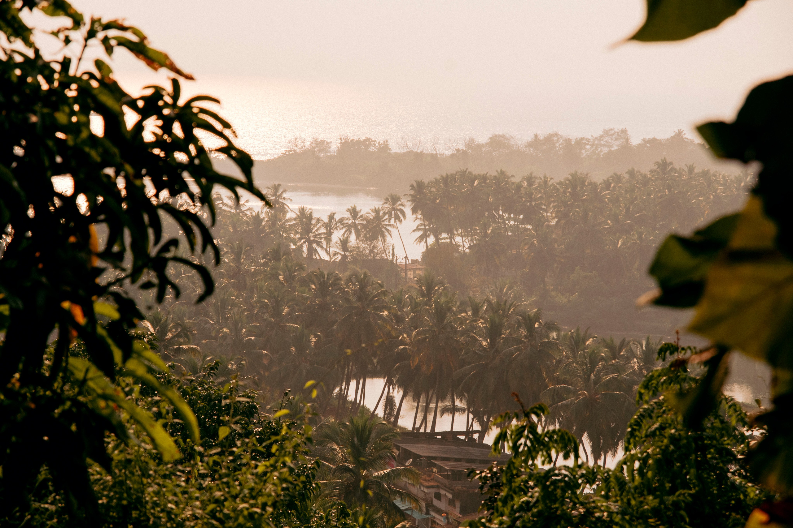 Гоа. индия. Iraogo