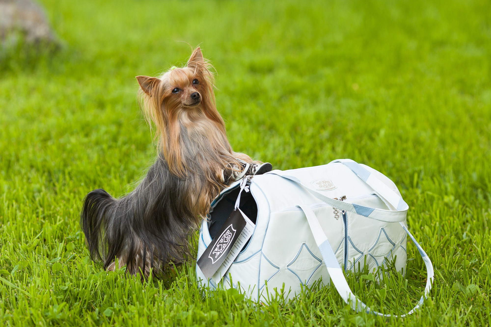 Рекламная и предметная съёмка. Фотоателье и полиграфия | Красивые фотосессии, сувениры с фото | Ремонт смартфонов, ноутбуков и техники в Коломне Zinovyev Team