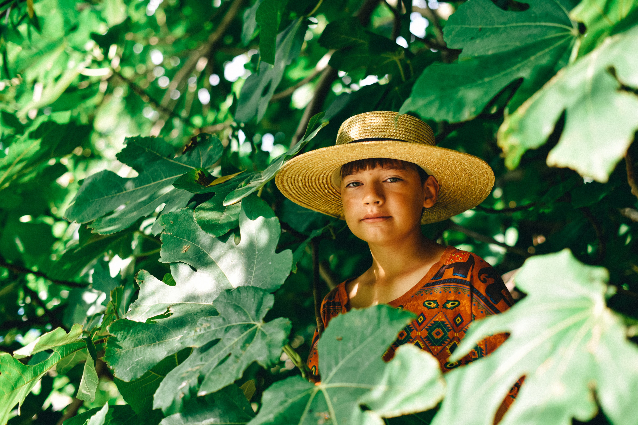 В ожидании Ван Гога