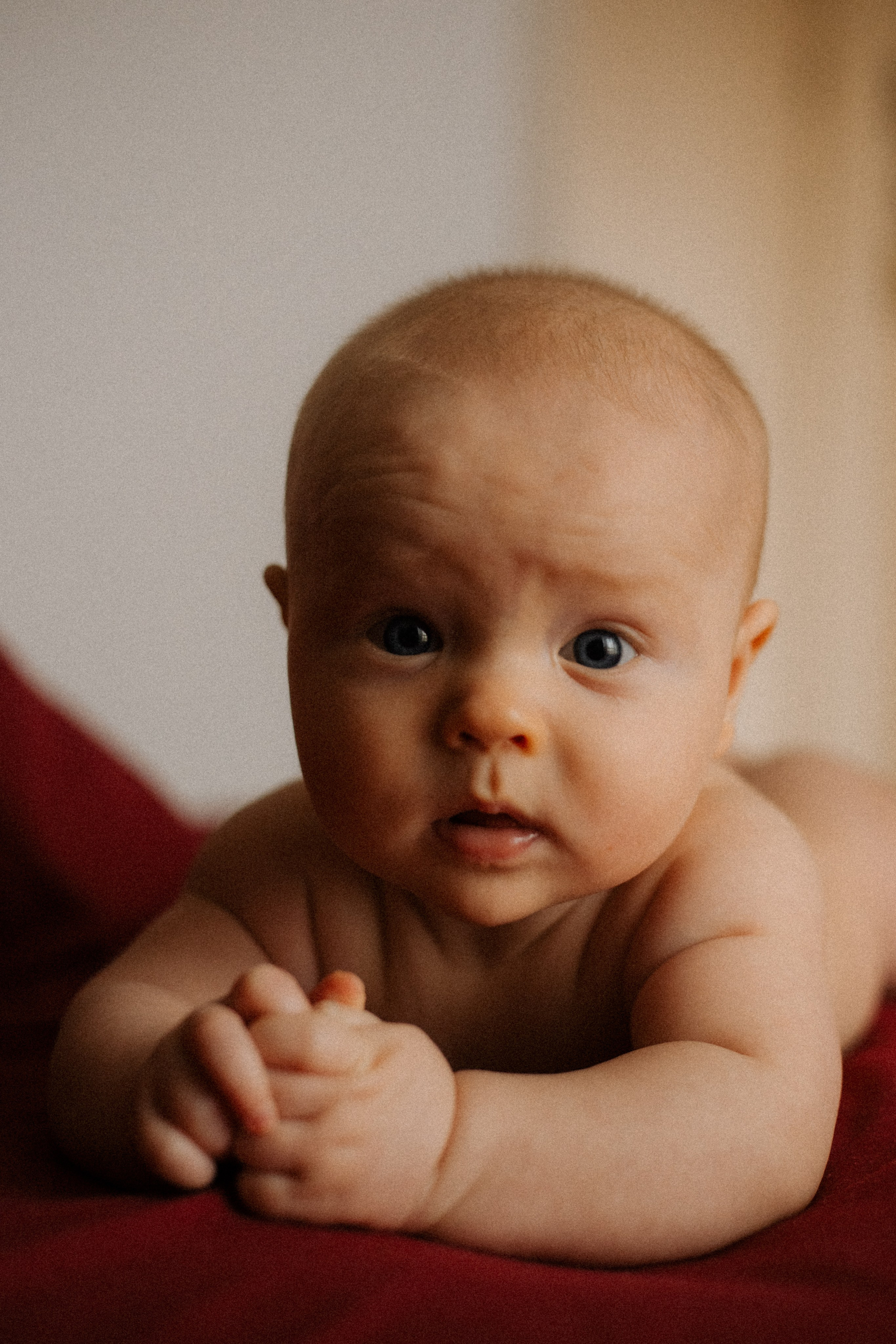 Алиса. Семейный фотограф Виктория Потехина Москва