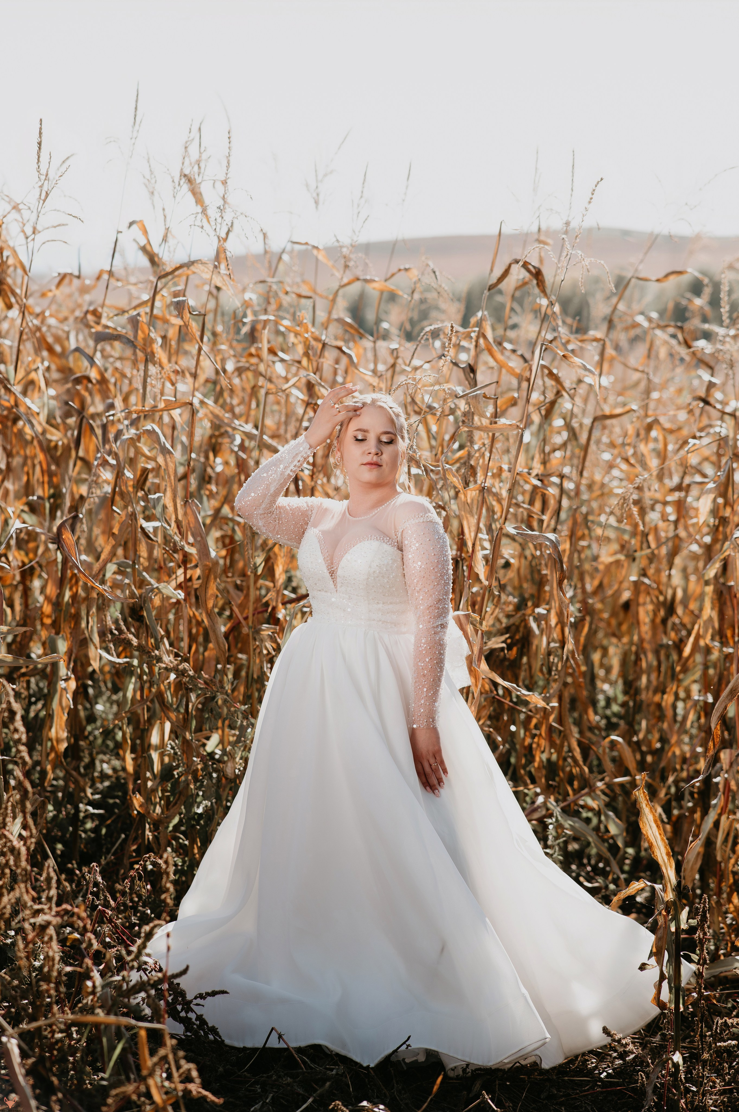 Wedding 20 09 24. Свадебный Фотограф Абакан