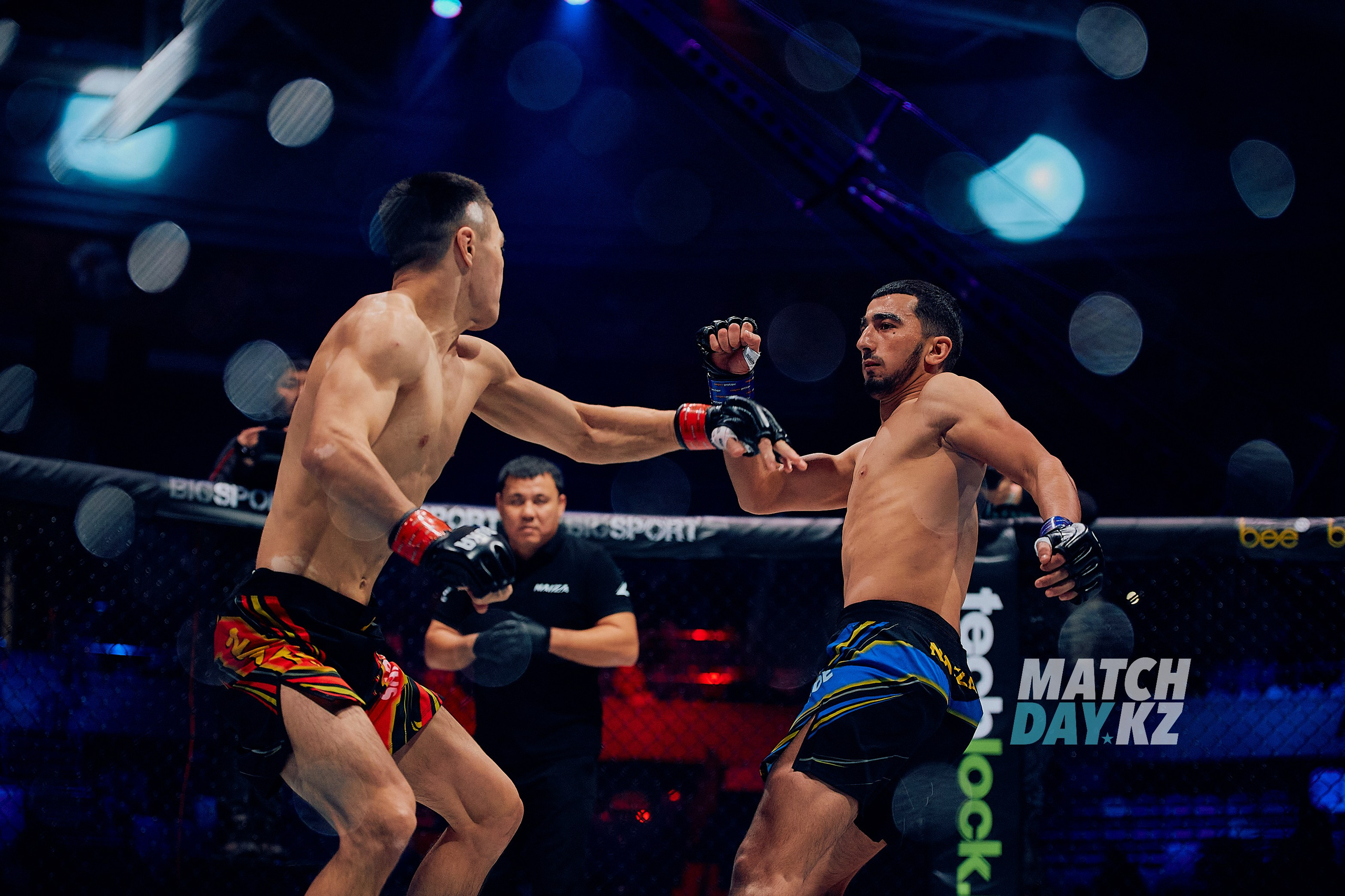 Naiza MMA (Astana) 6 December 2023. Professional photo & Event agency (Kazakhstan, Astana)