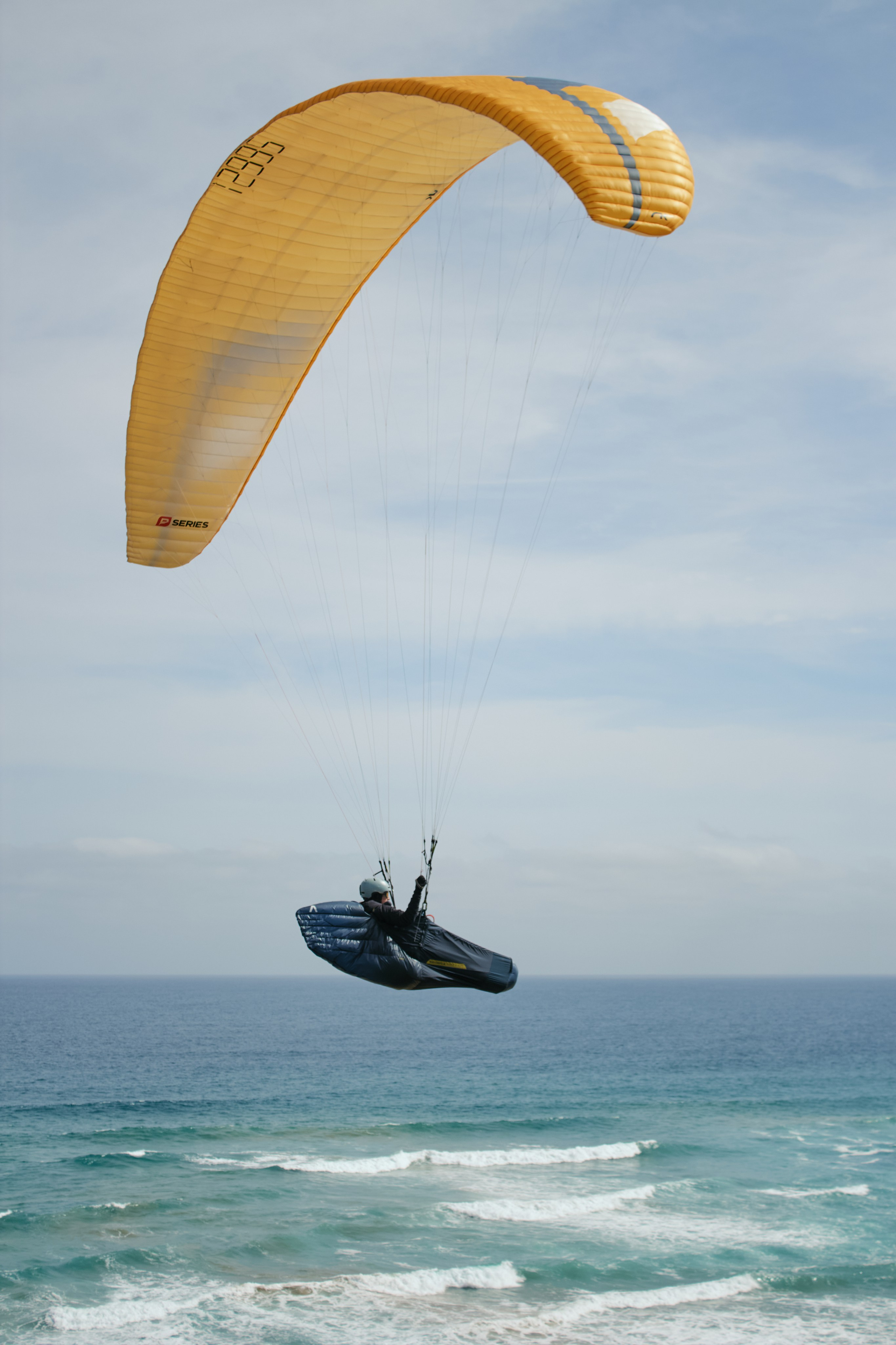 ЮАР. Профессиональный Фотограф во Владимире, в Москве и в Суздале — Полина Романычева