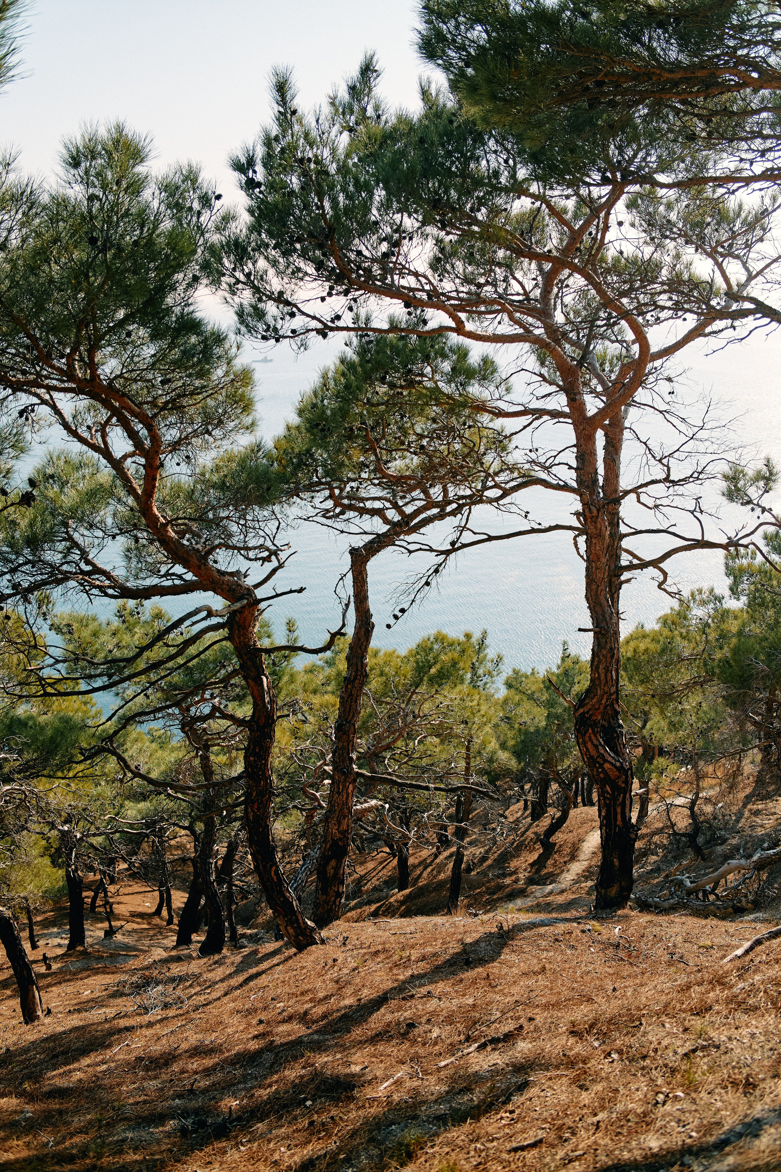 Юг России. Профессиональный Фотограф во Владимире, в Москве и в Суздале — Полина Романычева