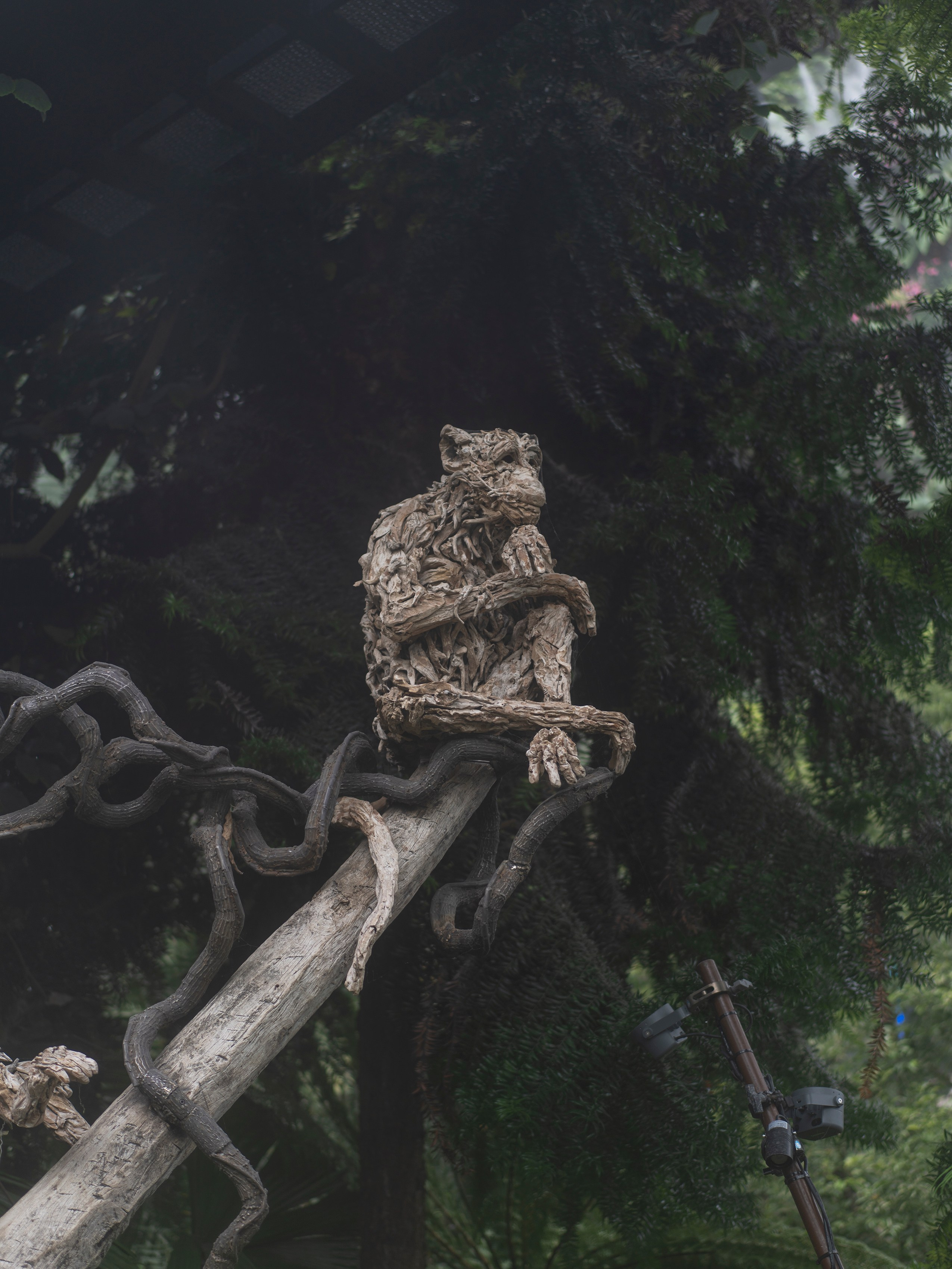 Сингапур. Творческий фотограф Ирина Баландина.  Санкт-Петербург, Мурманск