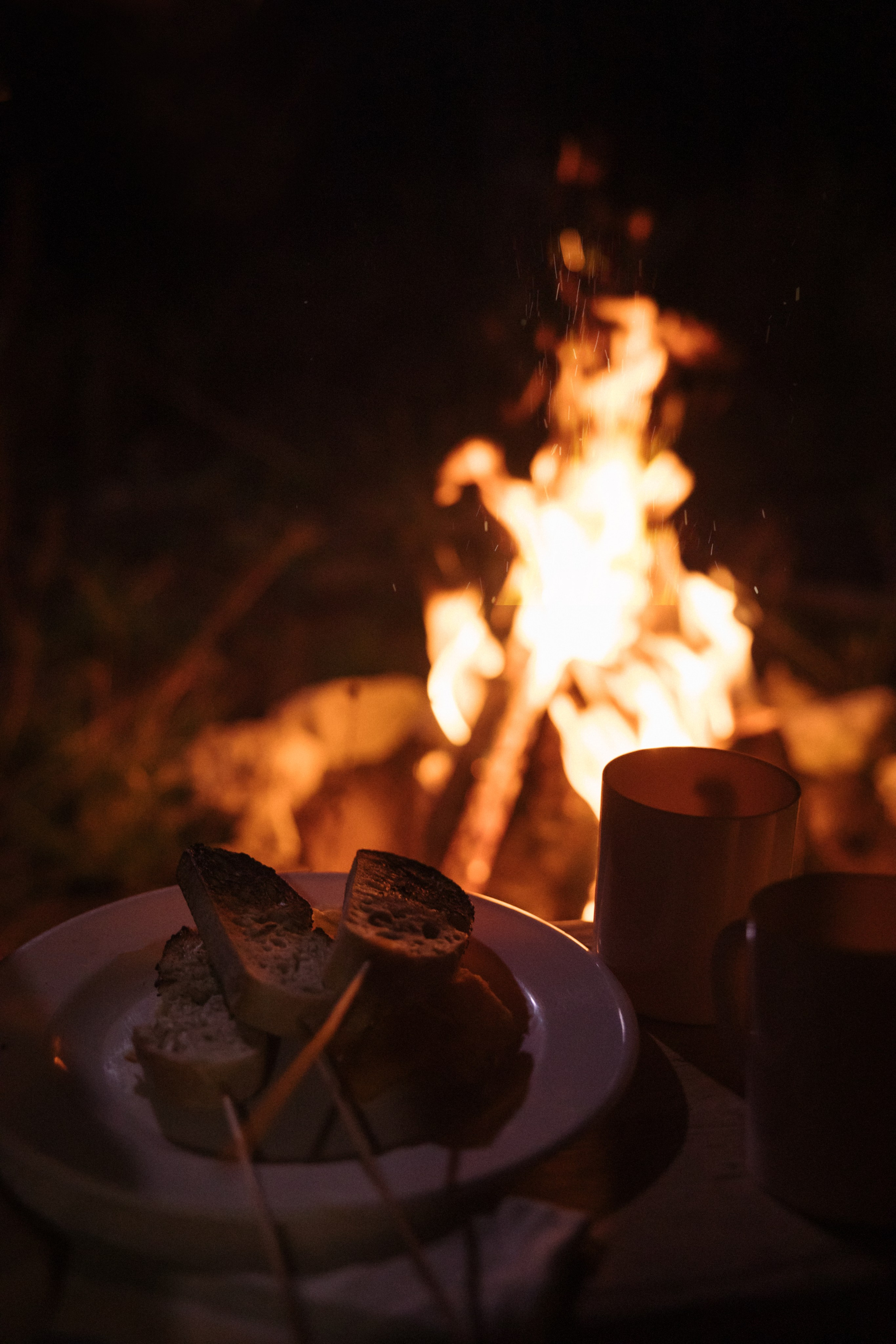 Посиделки у костра. Семейный и детский фотограф г. Москва Супрунова Кристина
