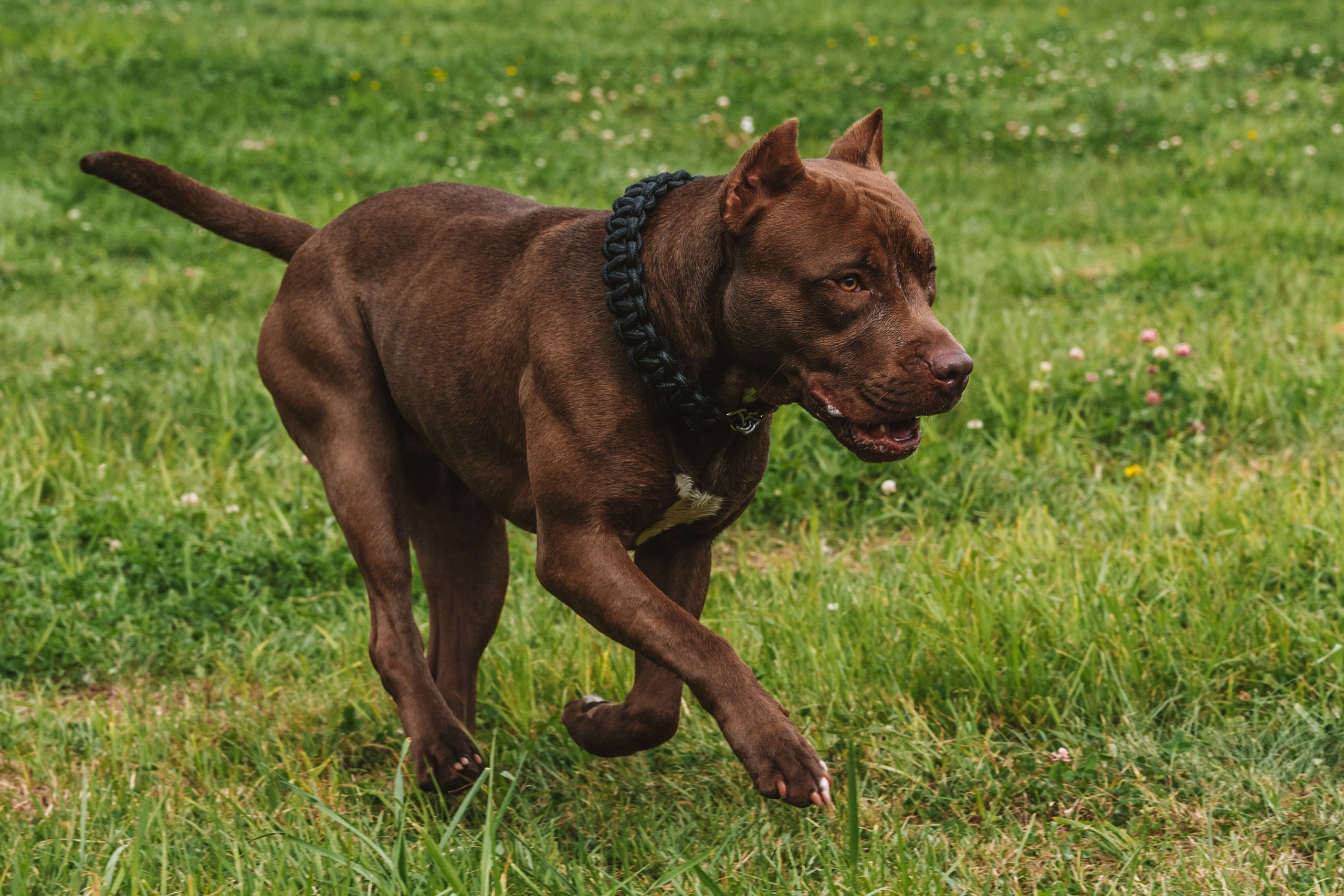 Лав стори фотограф Санкт-Петербург. Свадебный, семейный, портретный, репортажный фотограф в Санкт-Петербурге