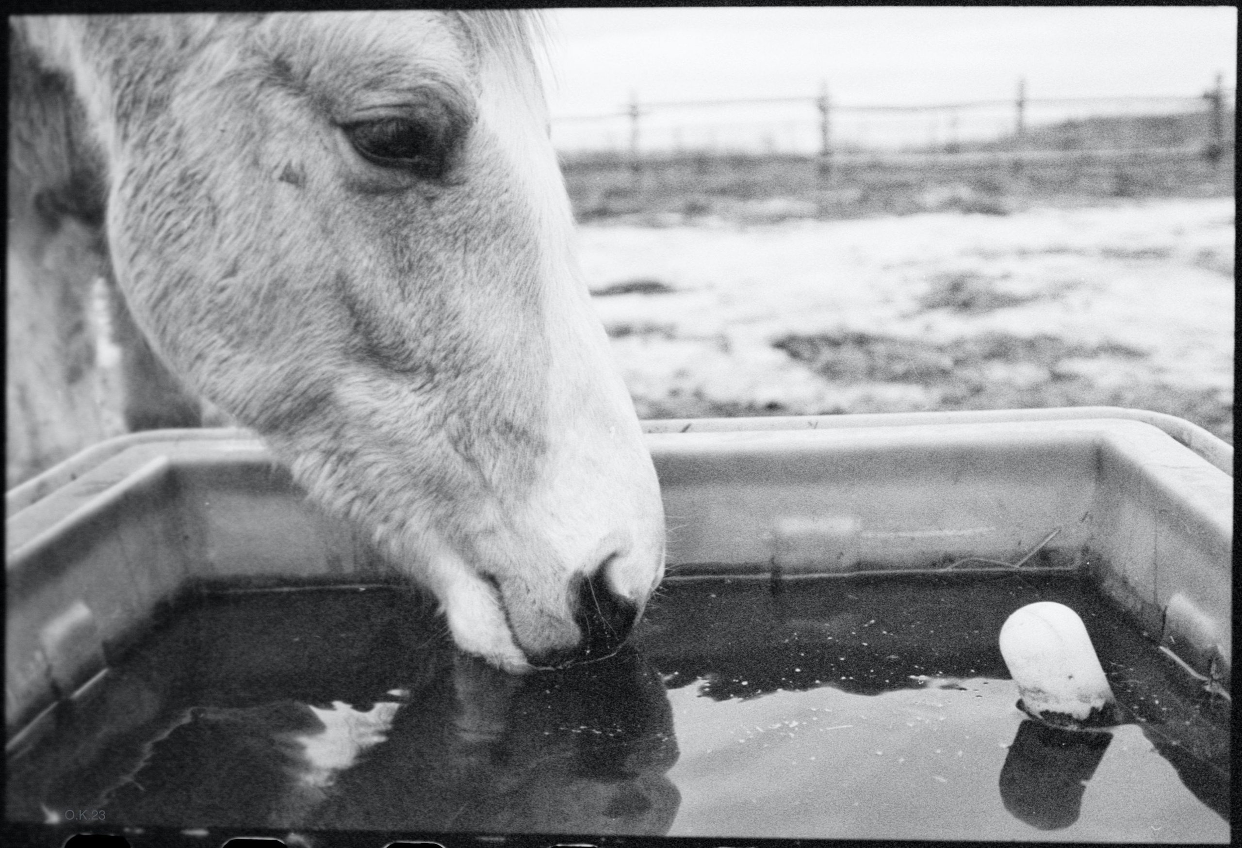Пленочная фотография Олег Кузнецов. Artkapella|Олег Кузнецов