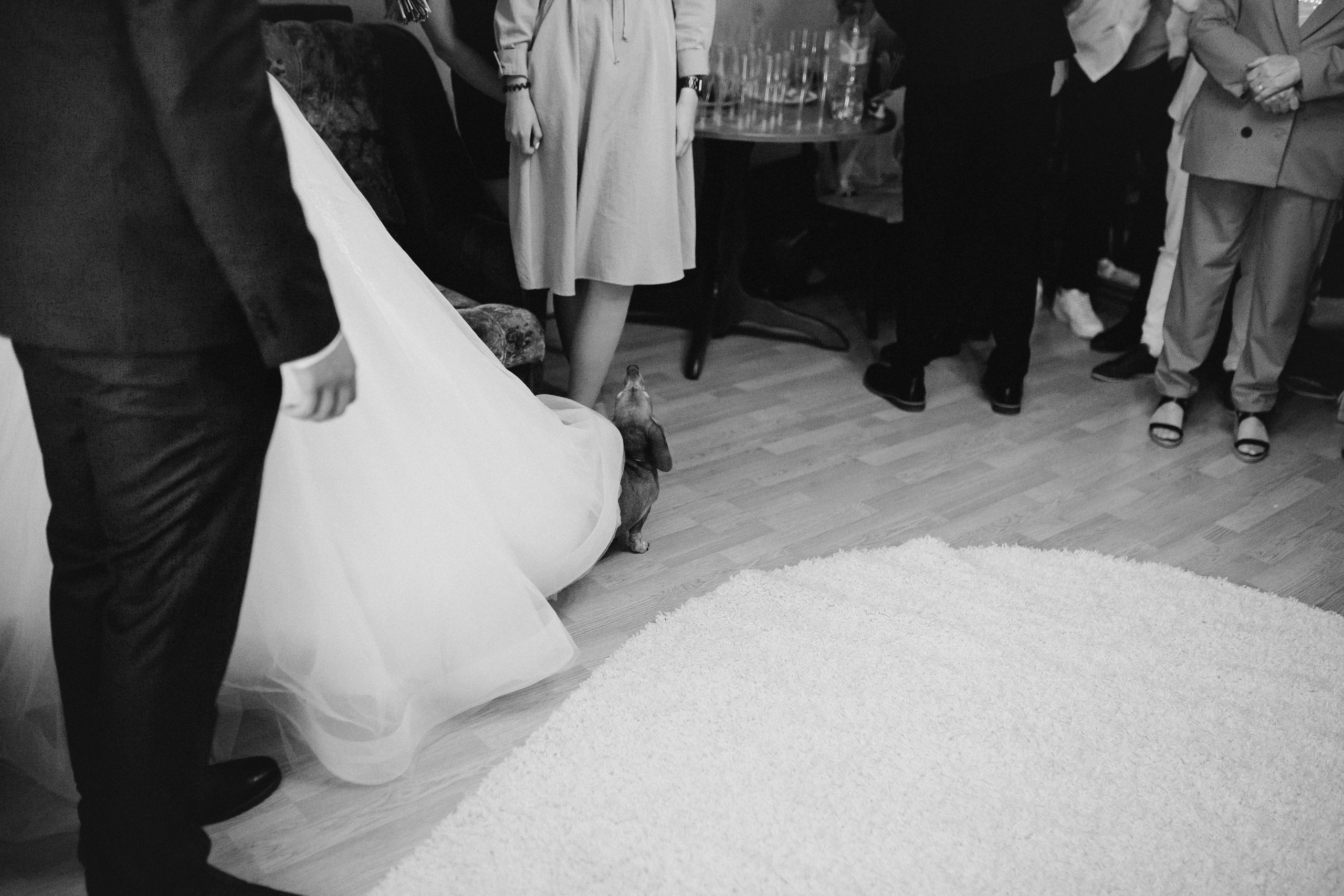 Никита & Олеся. Анна Михайлова|Свадебный фотограф в Санкт-Петербурге