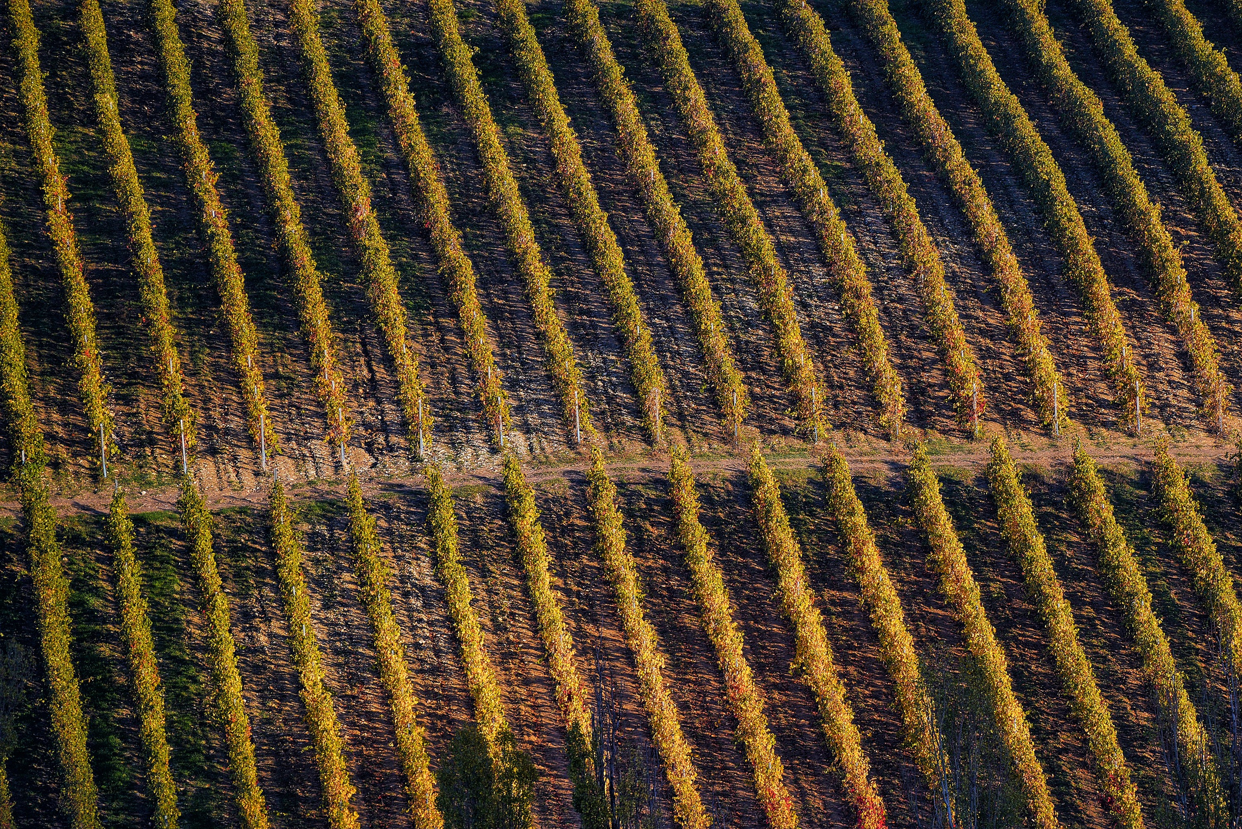 Текстуры и другие фоны. Textures and other. Яркие фото на Чёрном море