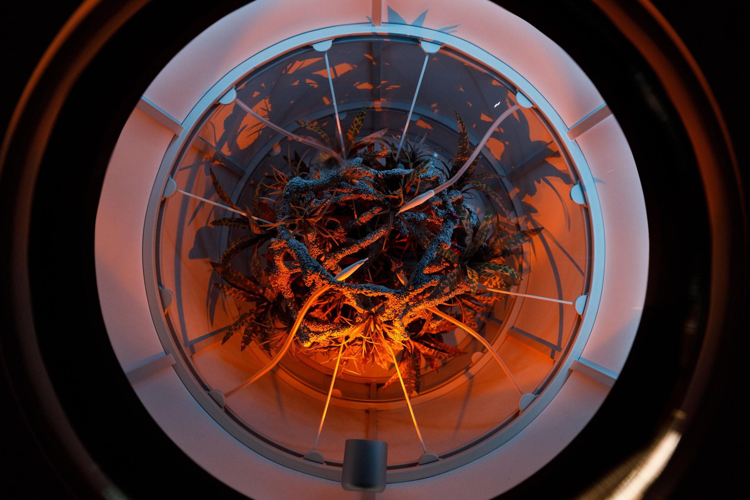 Дубай 2023. Руслан Плахтеев