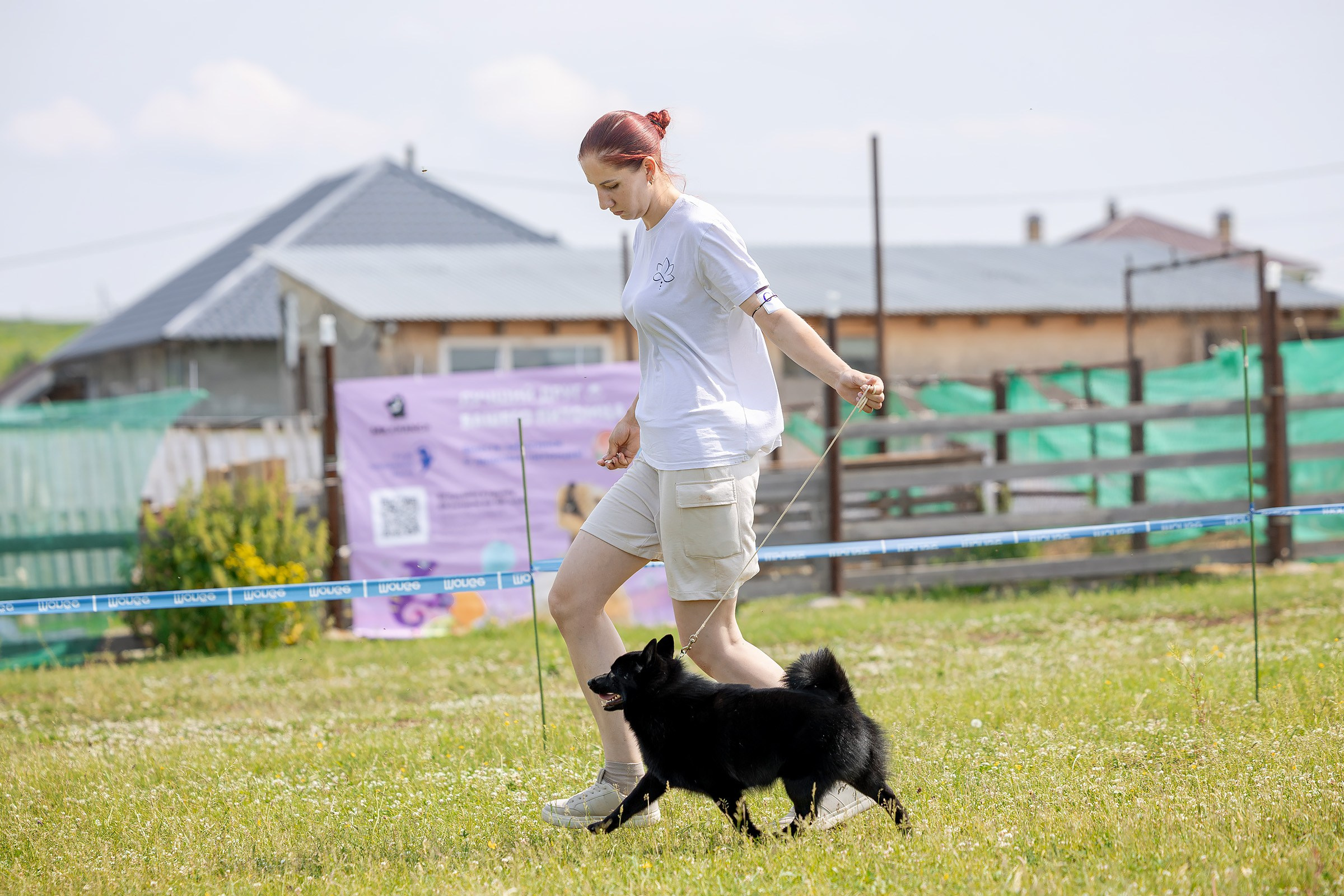 12 июня 2025, Выставка РКФ, Пермский край. Htykk_photo