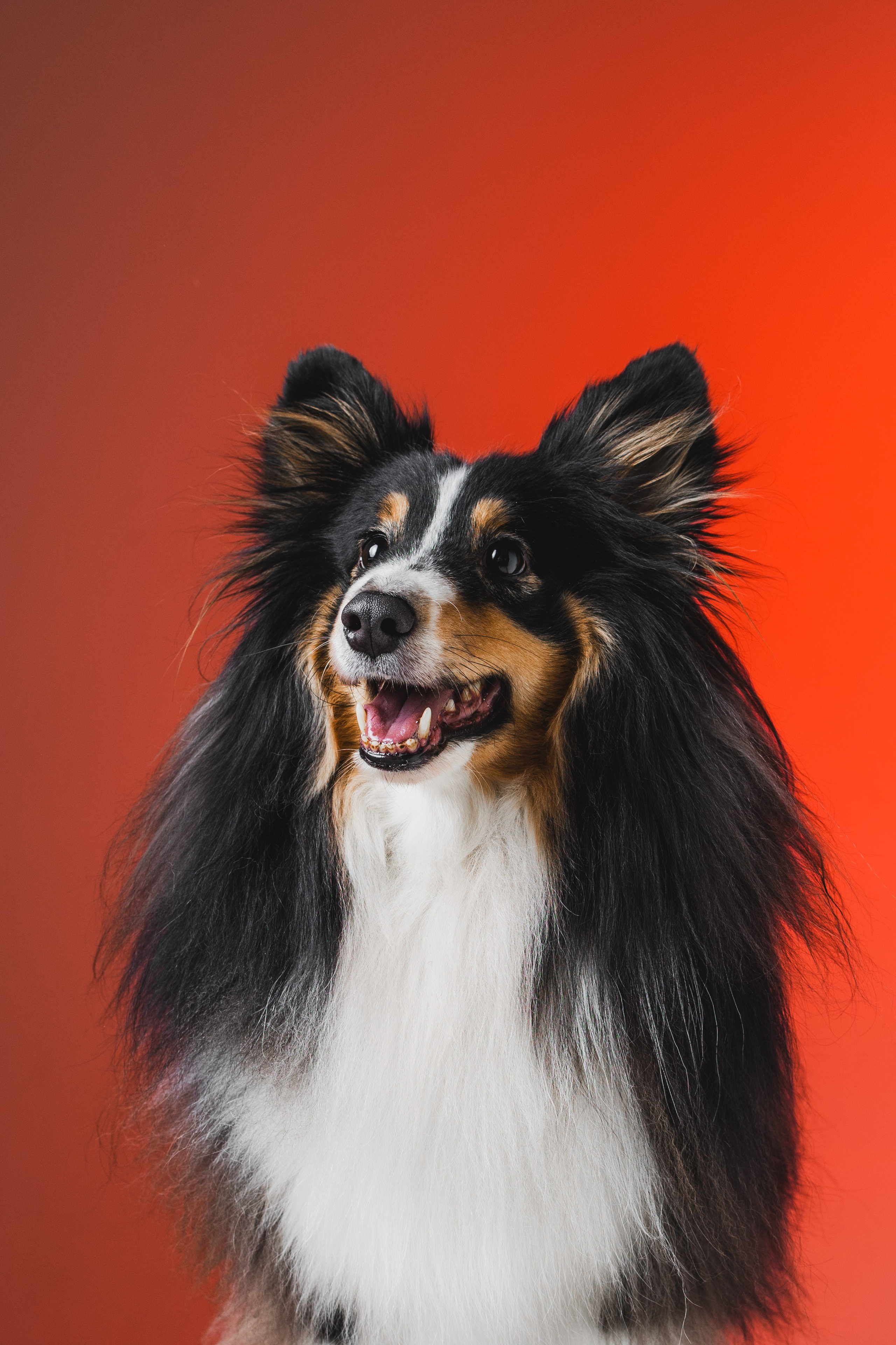 Воркшоп по импульсному свету