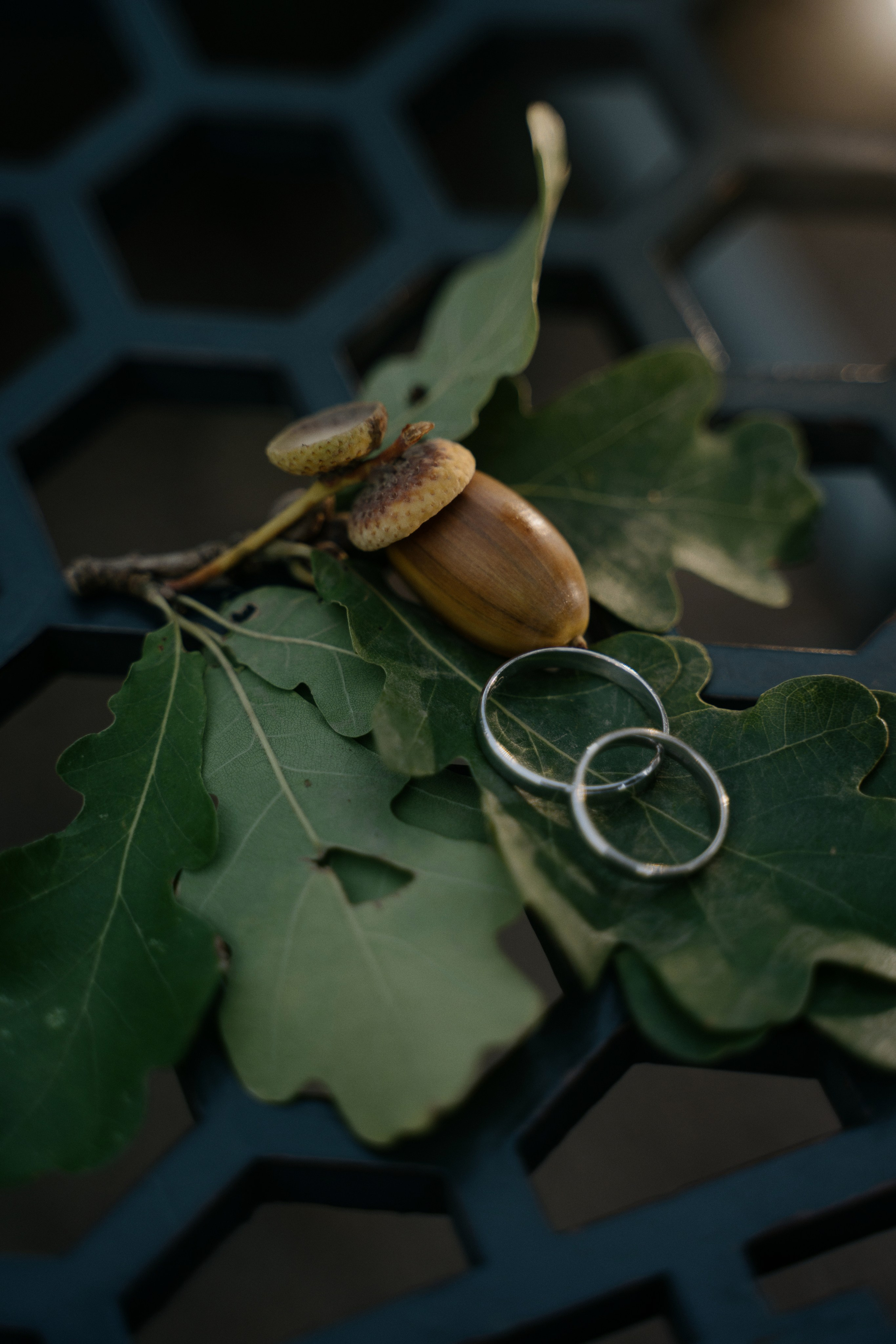 Игорь и Владислава. Свадебный и семейный фотограф в Санкт-Петербурге Дмитрий Панин